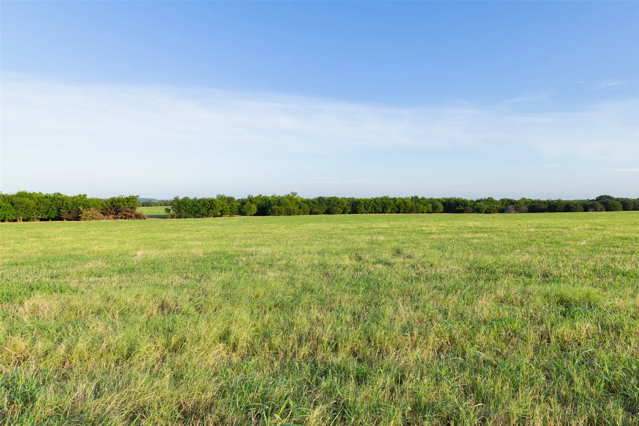 Improved Land For Sale in Erath County , TBD 9 CR 200, Stephenville, Texas 76401, 0, 0, Garage spaces, 0 Sqft, built in 0, Price $207,320, mls#21334557, Real Estate Agent in Stephenville, Homes For Sale in Erath county, Homes For Sale in Stephenville, Realtor in Stephenville Texas, Real Estate Brokerage Independent Realty Texas, Luminita Cordes Realtor