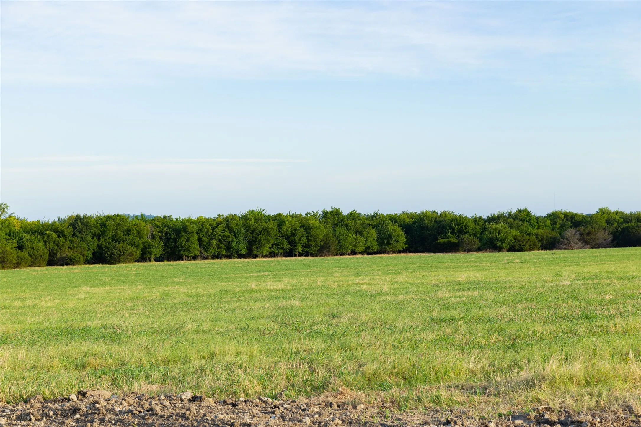 Improved Land For Sale in Erath County , TBD 9 CR 200, Stephenville, Texas 76401, 0, 0, Garage spaces, 0 Sqft, built in 0, Price $207,320, mls#21334557, Real Estate Agent in Stephenville, Homes For Sale in Erath county, Homes For Sale in Stephenville, Realtor in Stephenville Texas, Real Estate Brokerage Independent Realty Texas, Luminita Cordes Realtor