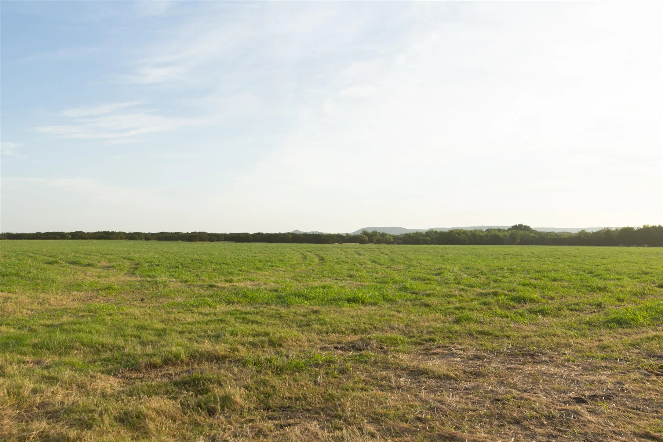 Improved Land For Sale in Erath County , TBD 6 CR 200, Stephenville, Texas 76401, 0, 0, Garage spaces, 0 Sqft, built in 0, Price $200,520, mls#21334530, Real Estate Agent in Stephenville, Homes For Sale in Erath county, Homes For Sale in Stephenville, Realtor in Stephenville Texas, Real Estate Brokerage Independent Realty Texas, Luminita Cordes Realtor