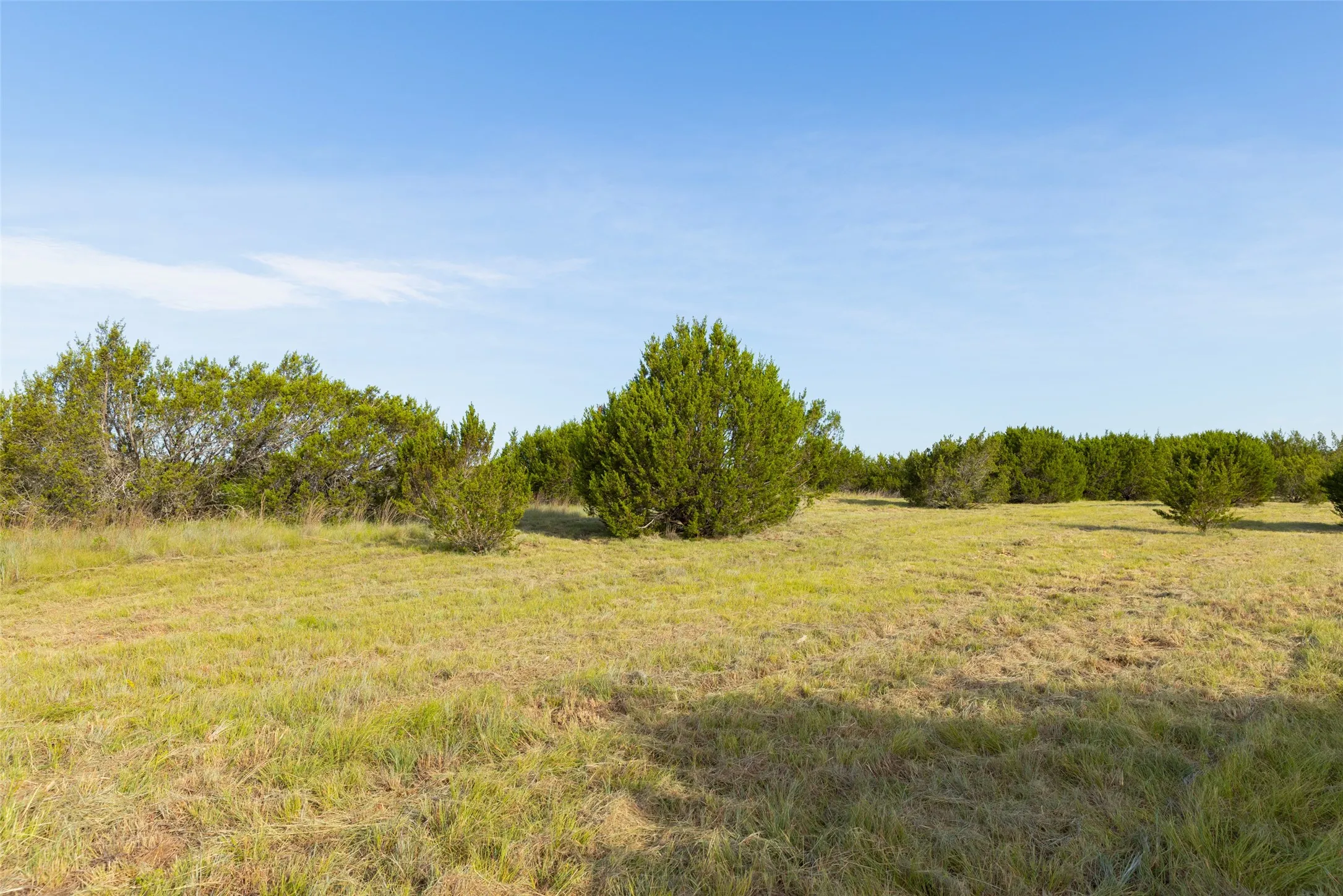 Improved Land For Sale in Erath County , TBD 6 CR 200, Stephenville, Texas 76401, 0, 0, Garage spaces, 0 Sqft, built in 0, Price $200,520, mls#21334530, Real Estate Agent in Stephenville, Homes For Sale in Erath county, Homes For Sale in Stephenville, Realtor in Stephenville Texas, Real Estate Brokerage Independent Realty Texas, Luminita Cordes Realtor