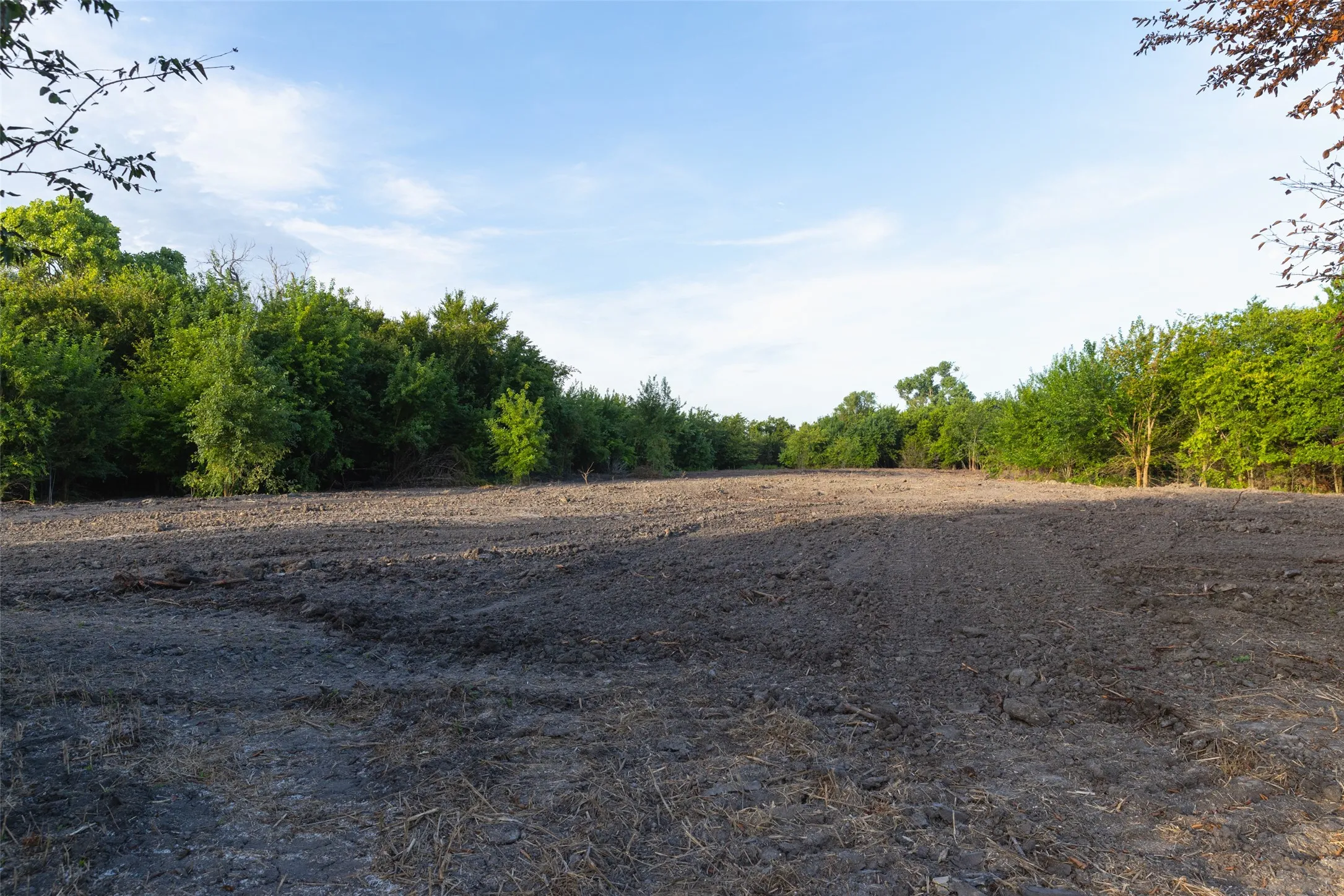 Improved Land For Sale in Erath County , TBD 6 CR 200, Stephenville, Texas 76401, 0, 0, Garage spaces, 0 Sqft, built in 0, Price $200,520, mls#21334530, Real Estate Agent in Stephenville, Homes For Sale in Erath county, Homes For Sale in Stephenville, Realtor in Stephenville Texas, Real Estate Brokerage Independent Realty Texas, Luminita Cordes Realtor