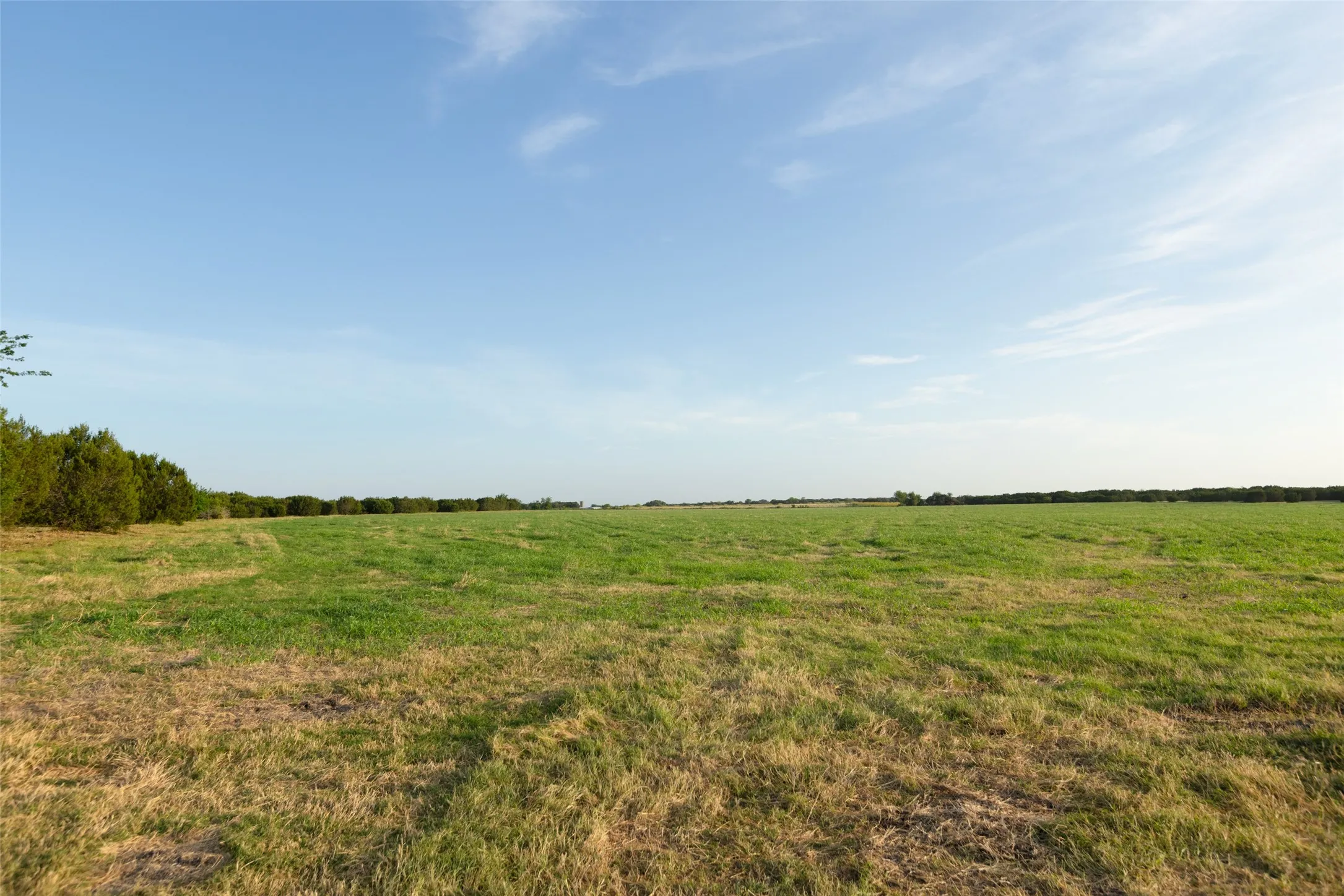 Improved Land For Sale in Erath County , TBD 6 CR 200, Stephenville, Texas 76401, 0, 0, Garage spaces, 0 Sqft, built in 0, Price $200,520, mls#21334530, Real Estate Agent in Stephenville, Homes For Sale in Erath county, Homes For Sale in Stephenville, Realtor in Stephenville Texas, Real Estate Brokerage Independent Realty Texas, Luminita Cordes Realtor