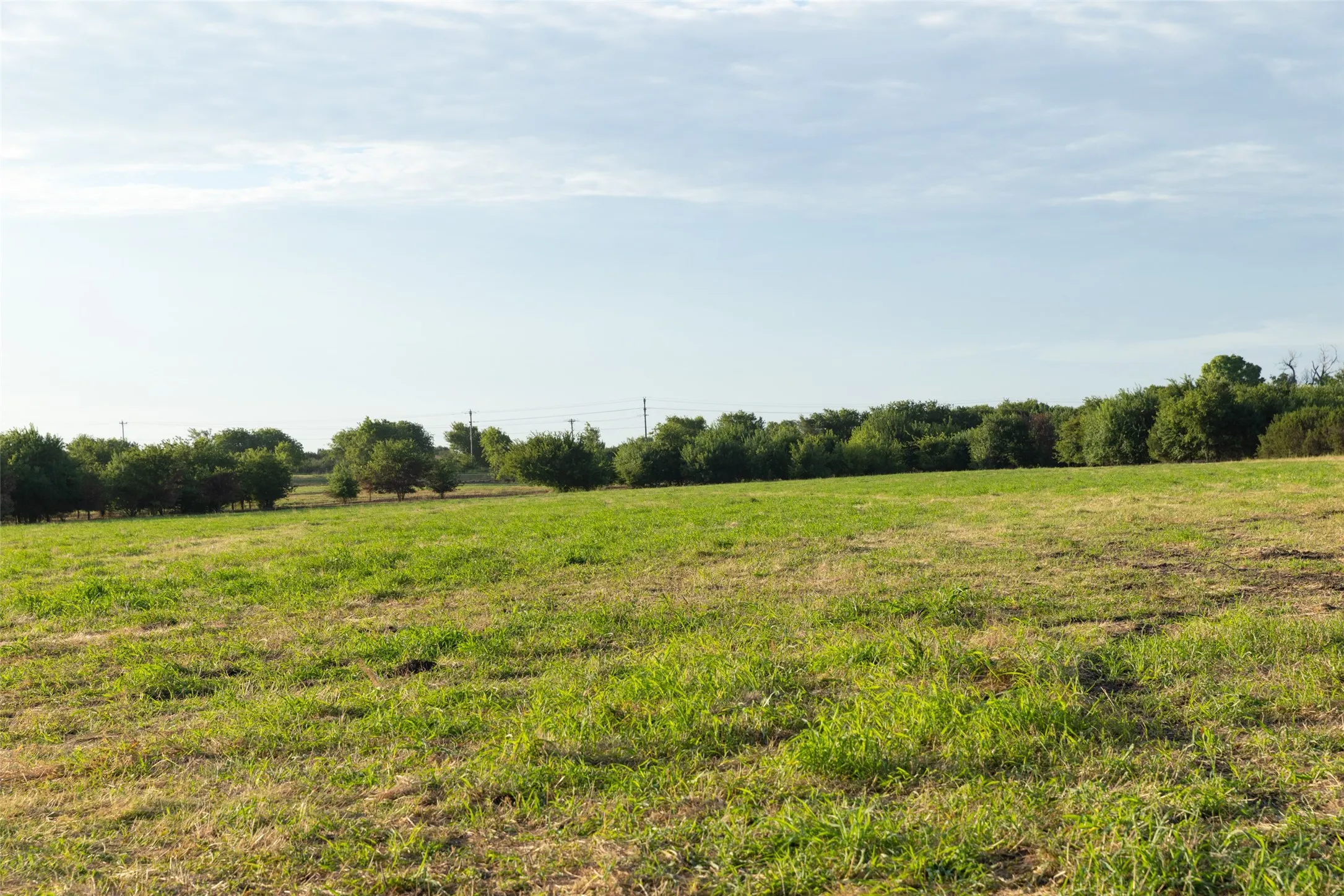 Improved Land For Sale in Erath County , TBD 6 CR 200, Stephenville, Texas 76401, 0, 0, Garage spaces, 0 Sqft, built in 0, Price $200,520, mls#21334530, Real Estate Agent in Stephenville, Homes For Sale in Erath county, Homes For Sale in Stephenville, Realtor in Stephenville Texas, Real Estate Brokerage Independent Realty Texas, Luminita Cordes Realtor