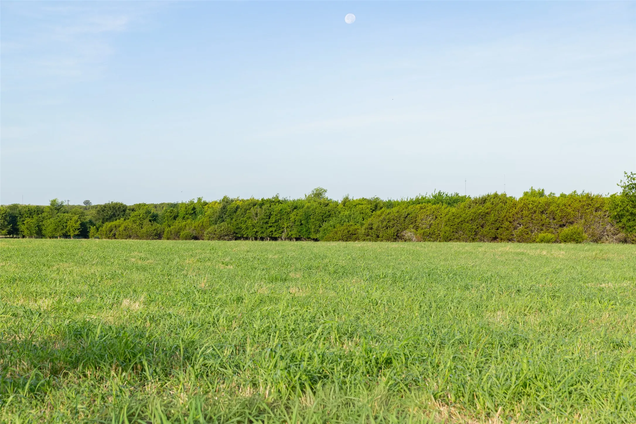 Improved Land For Sale in Erath County , TBD 3 CR 200, Stephenville, Texas 76401, 0, 0, Garage spaces, 0 Sqft, built in 0, Price $206,980, mls#21334426, Real Estate Agent in Stephenville, Homes For Sale in Erath county, Homes For Sale in Stephenville, Realtor in Stephenville Texas, Real Estate Brokerage Independent Realty Texas, Luminita Cordes Realtor
