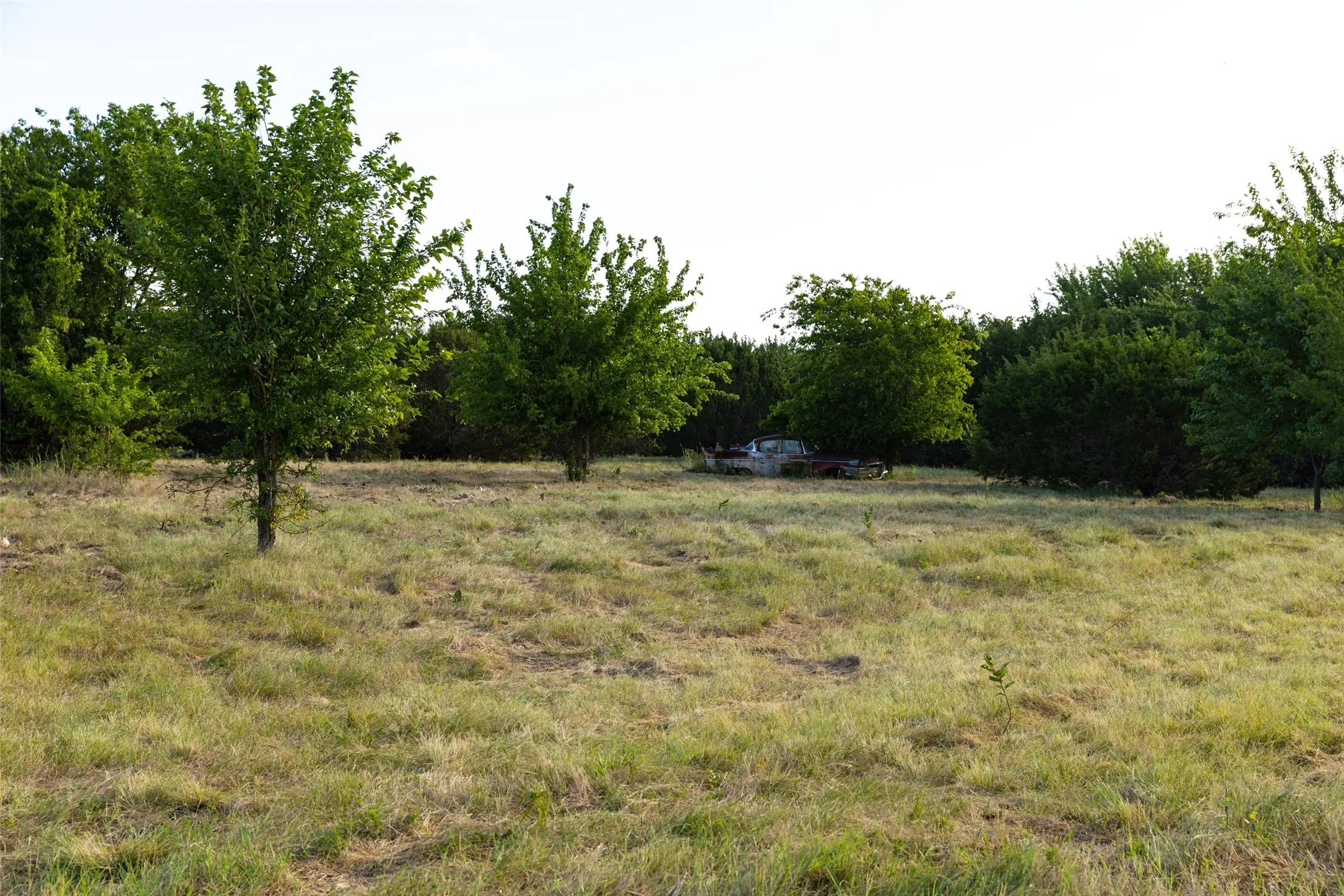Improved Land For Sale in Erath County , TBD 3 CR 200, Stephenville, Texas 76401, 0, 0, Garage spaces, 0 Sqft, built in 0, Price $206,980, mls#21334426, Real Estate Agent in Stephenville, Homes For Sale in Erath county, Homes For Sale in Stephenville, Realtor in Stephenville Texas, Real Estate Brokerage Independent Realty Texas, Luminita Cordes Realtor
