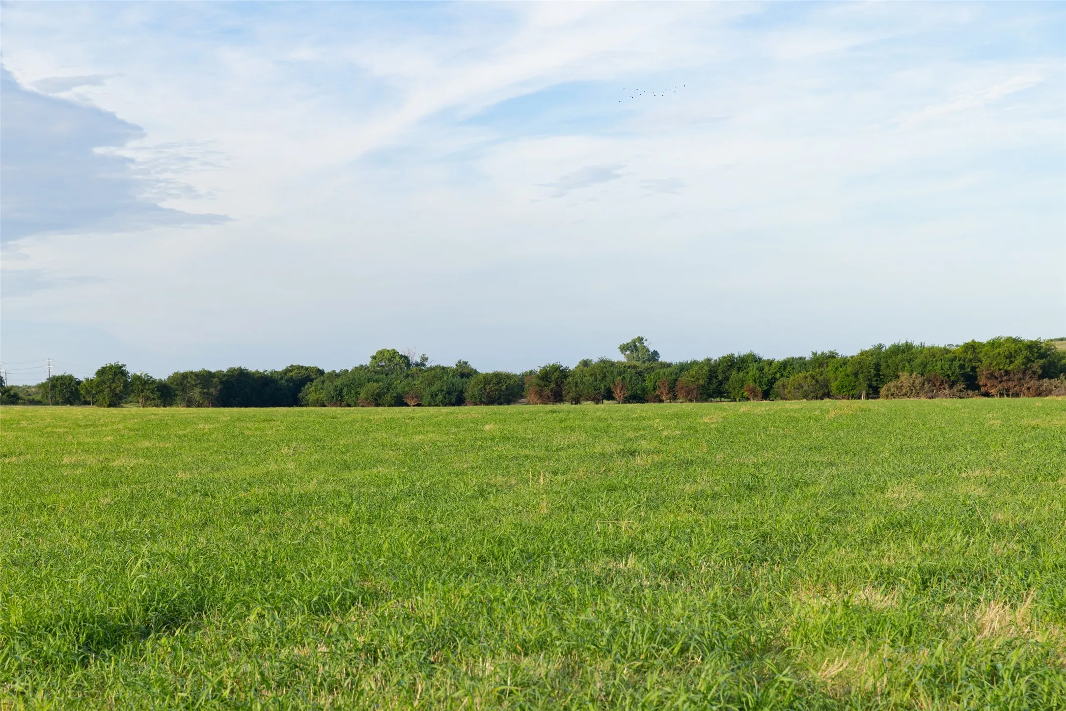 Improved Land For Sale in Erath County , TBD 2 CR 200, Stephenville, Texas 76401, 0, 0, Garage spaces, 0 Sqft, built in 0, Price $208,840, mls#21334416, Real Estate Agent in Stephenville, Homes For Sale in Erath county, Homes For Sale in Stephenville, Realtor in Stephenville Texas, Real Estate Brokerage Independent Realty Texas, Luminita Cordes Realtor
