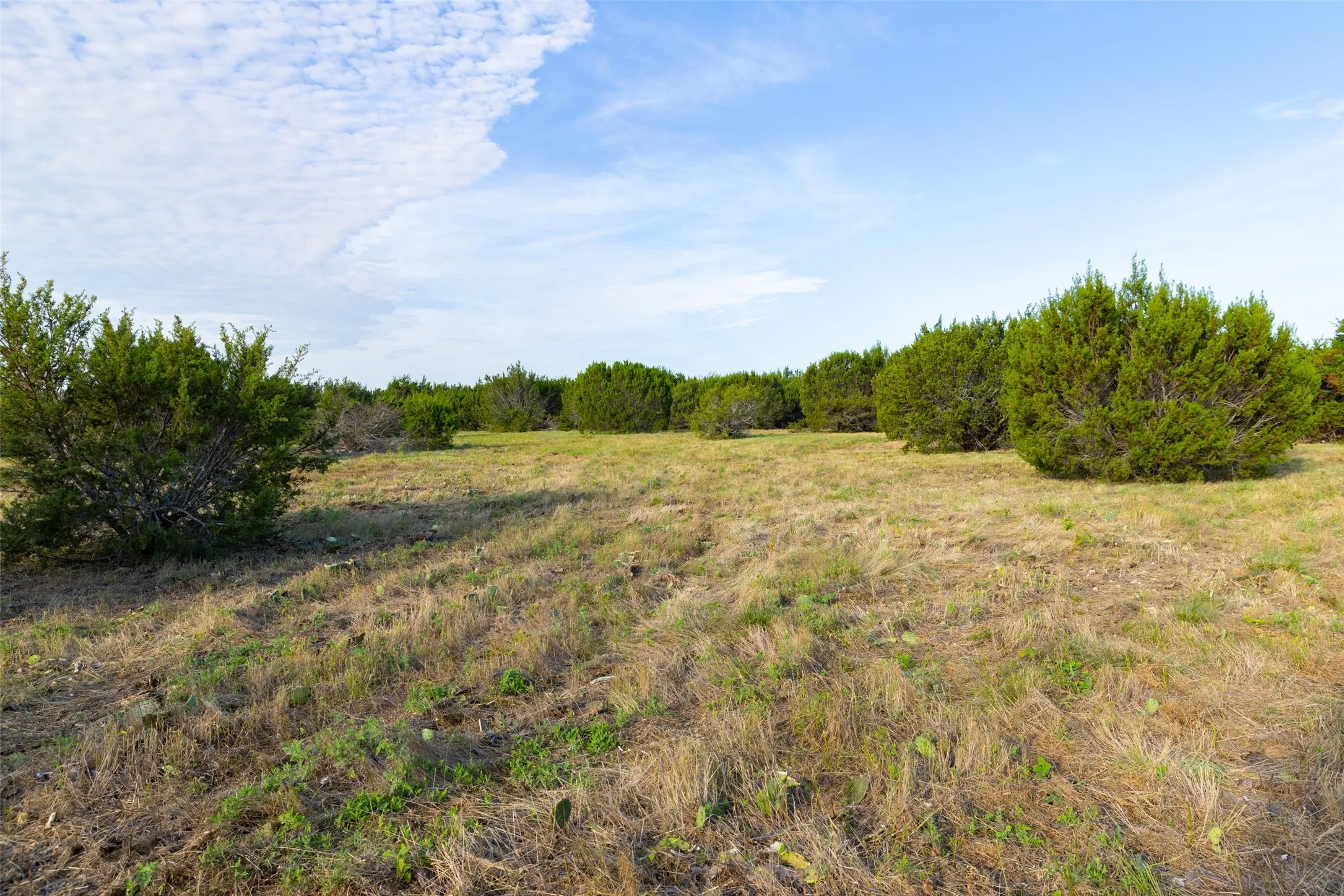 Improved Land For Sale in Erath County , TBD 1 CR 200, Stephenville, Texas 76401, 0, 0, Garage spaces, 0 Sqft, built in 0, Price $222,040, mls#21334311, Real Estate Agent in Stephenville, Homes For Sale in Erath county, Homes For Sale in Stephenville, Realtor in Stephenville Texas, Real Estate Brokerage Independent Realty Texas, Luminita Cordes Realtor