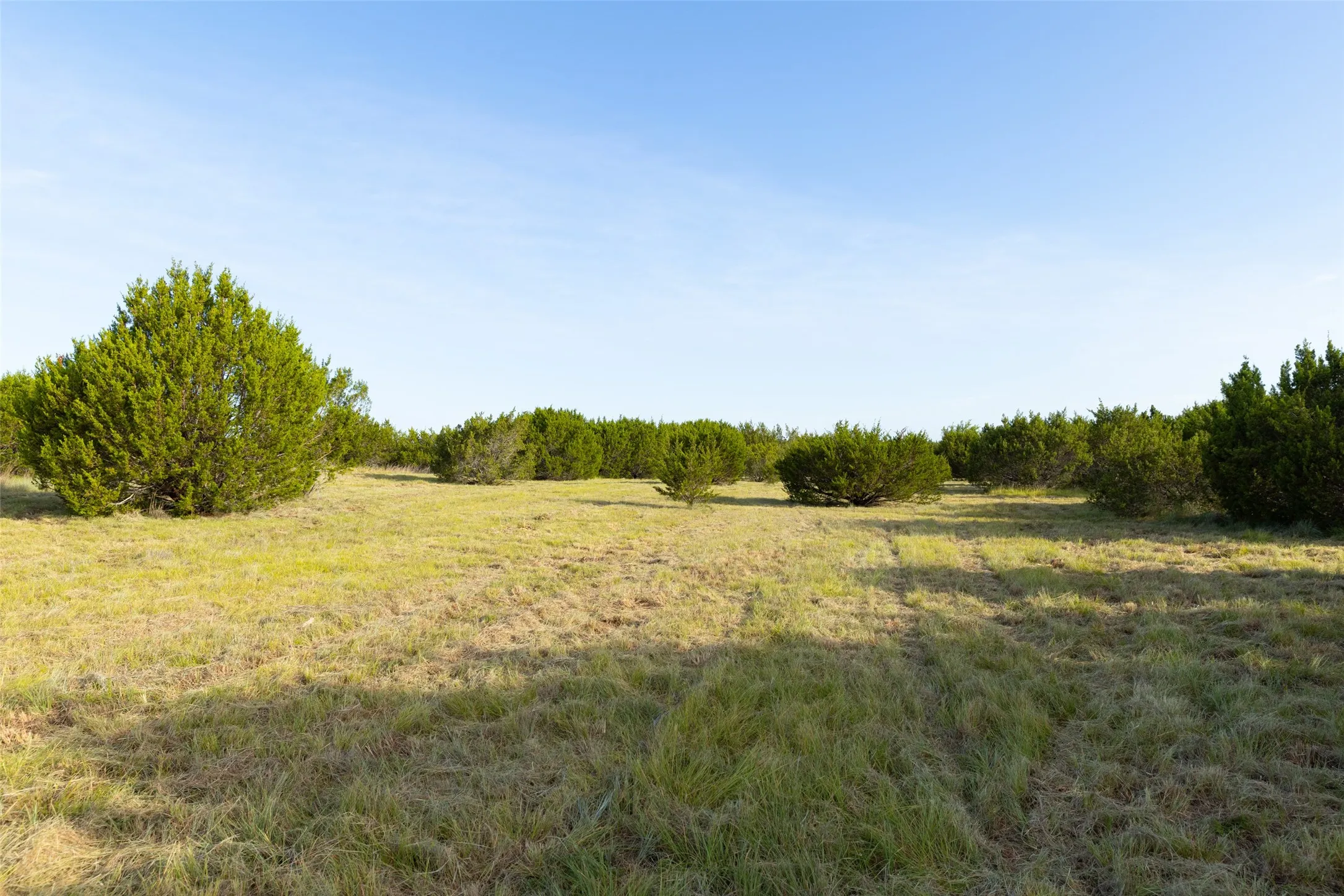 Improved Land For Sale in Erath County , TBD 1 CR 200, Stephenville, Texas 76401, 0, 0, Garage spaces, 0 Sqft, built in 0, Price $222,040, mls#21334311, Real Estate Agent in Stephenville, Homes For Sale in Erath county, Homes For Sale in Stephenville, Realtor in Stephenville Texas, Real Estate Brokerage Independent Realty Texas, Luminita Cordes Realtor