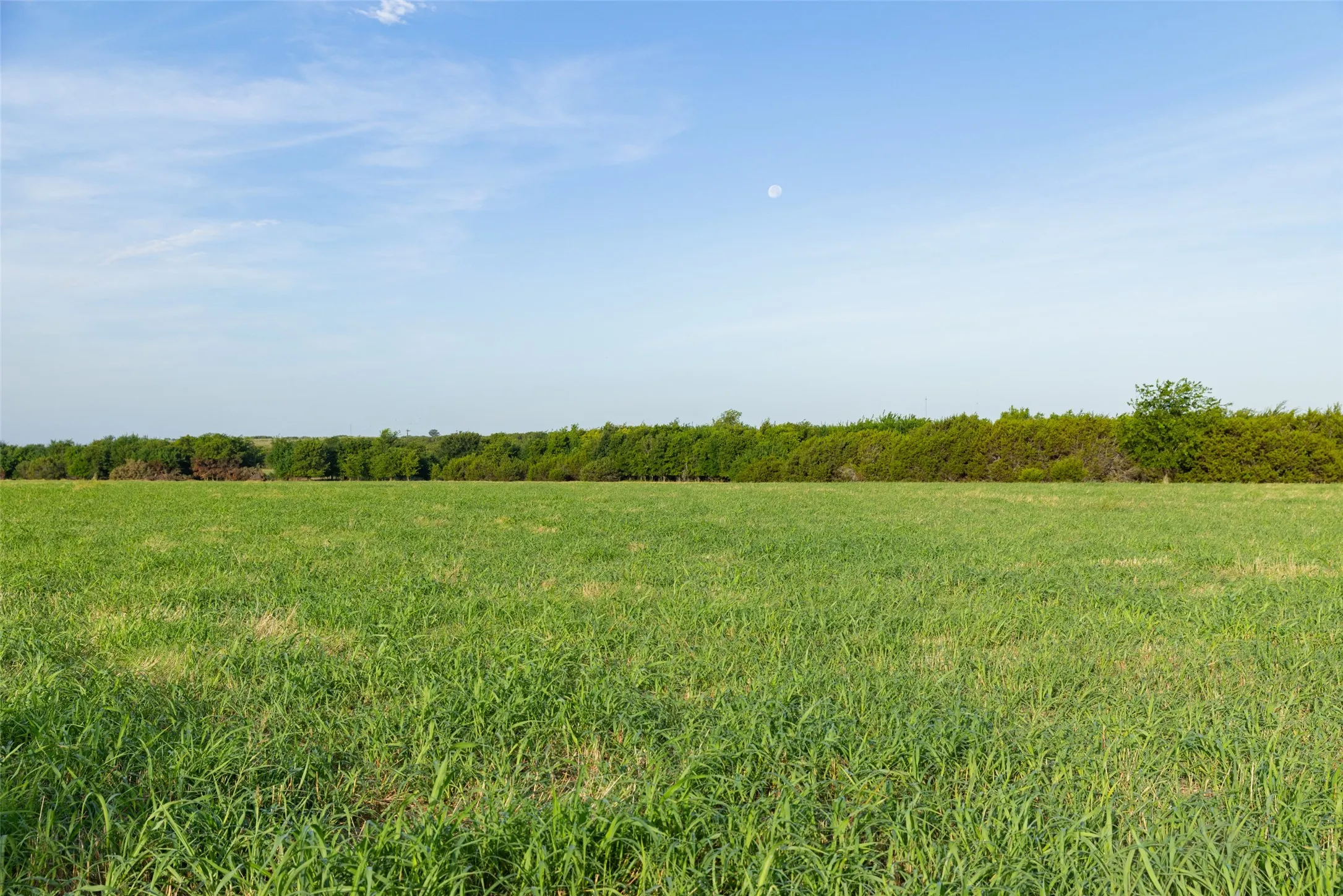 Improved Land For Sale in Erath County , TBD 1 CR 200, Stephenville, Texas 76401, 0, 0, Garage spaces, 0 Sqft, built in 0, Price $222,040, mls#21334311, Real Estate Agent in Stephenville, Homes For Sale in Erath county, Homes For Sale in Stephenville, Realtor in Stephenville Texas, Real Estate Brokerage Independent Realty Texas, Luminita Cordes Realtor