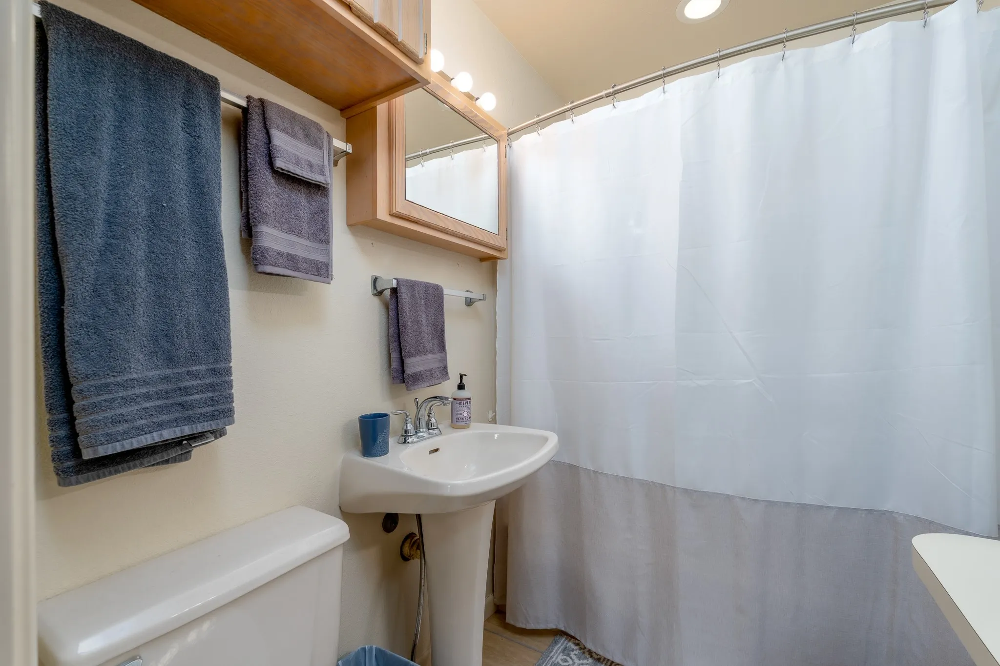 Full bathroom featuring a pedestal sink, wall-mounted mirror, and overhead vanity lighting