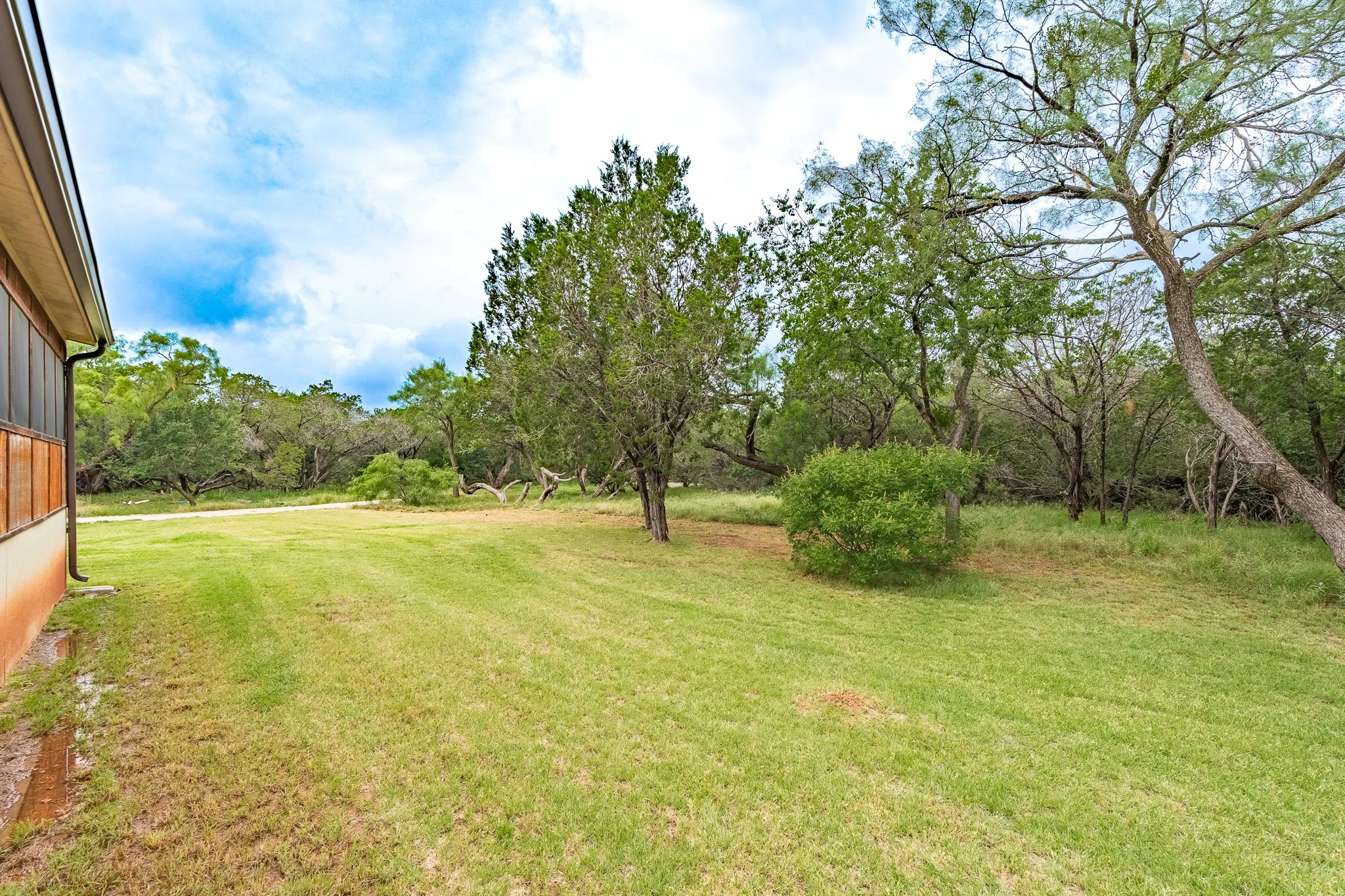 Expansive green lawn with mature trees and natural landscaping