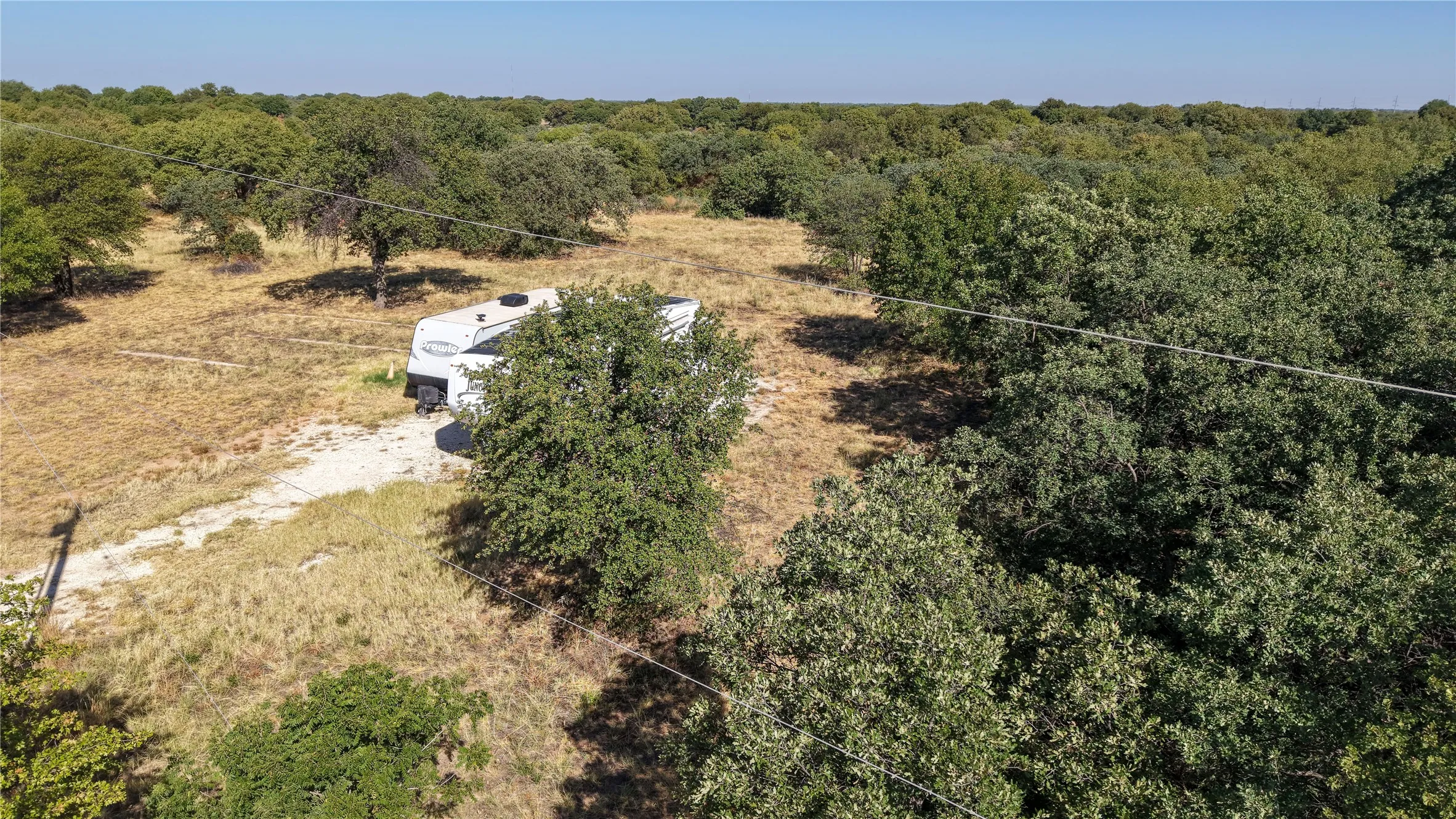 Expansive wooded acreage featuring mature trees and a clear blue sky