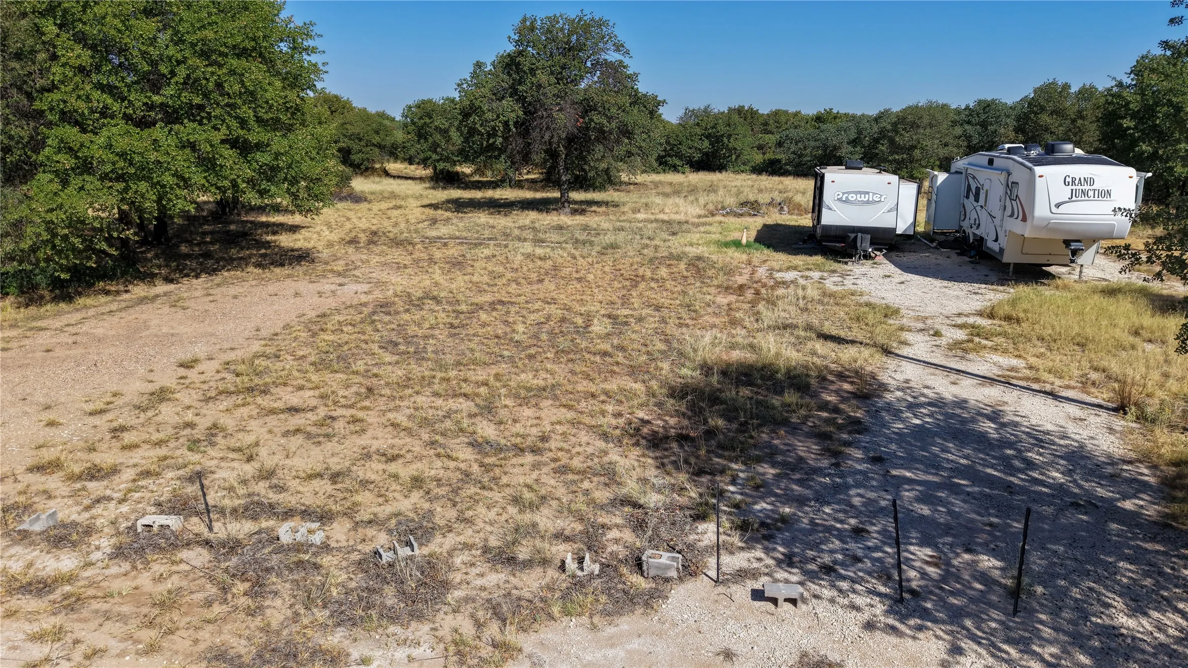 Expansive undeveloped land with mature trees and a gravel drive