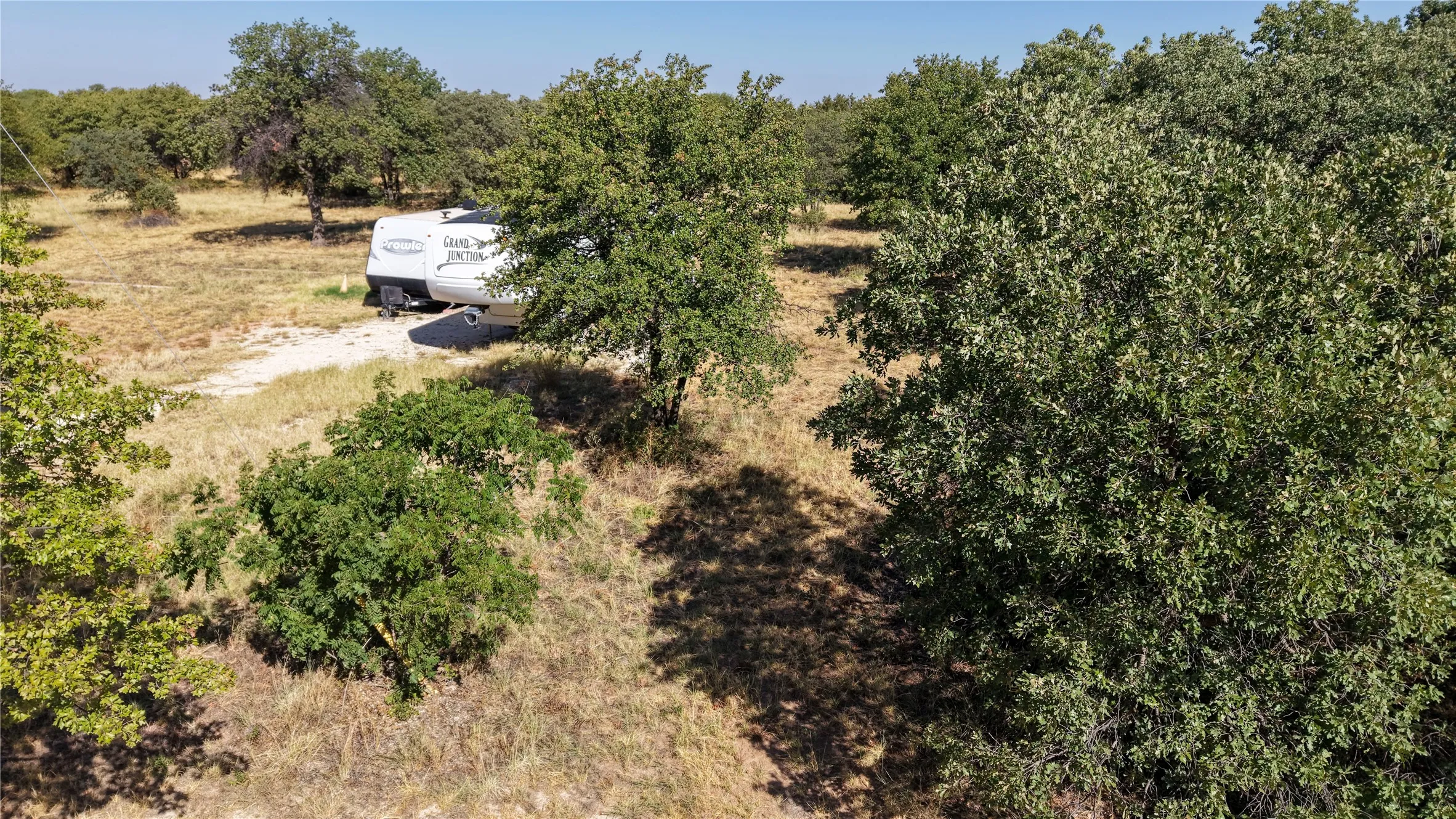 Mature trees and natural vegetation