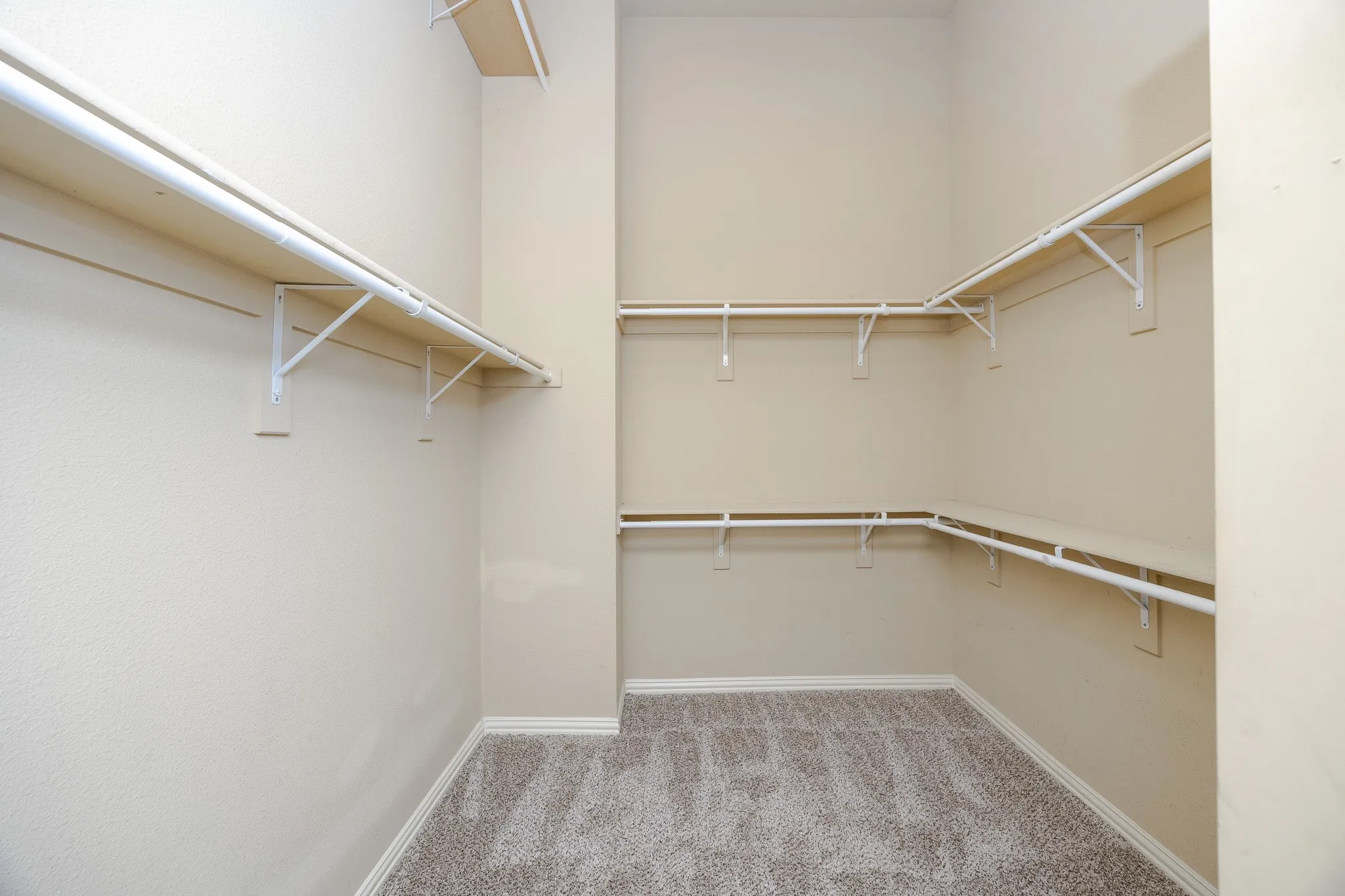 Walk-in closet featuring light-toned carpeting, neutral wall finishes, and multiple levels of shelving and hanging rods
