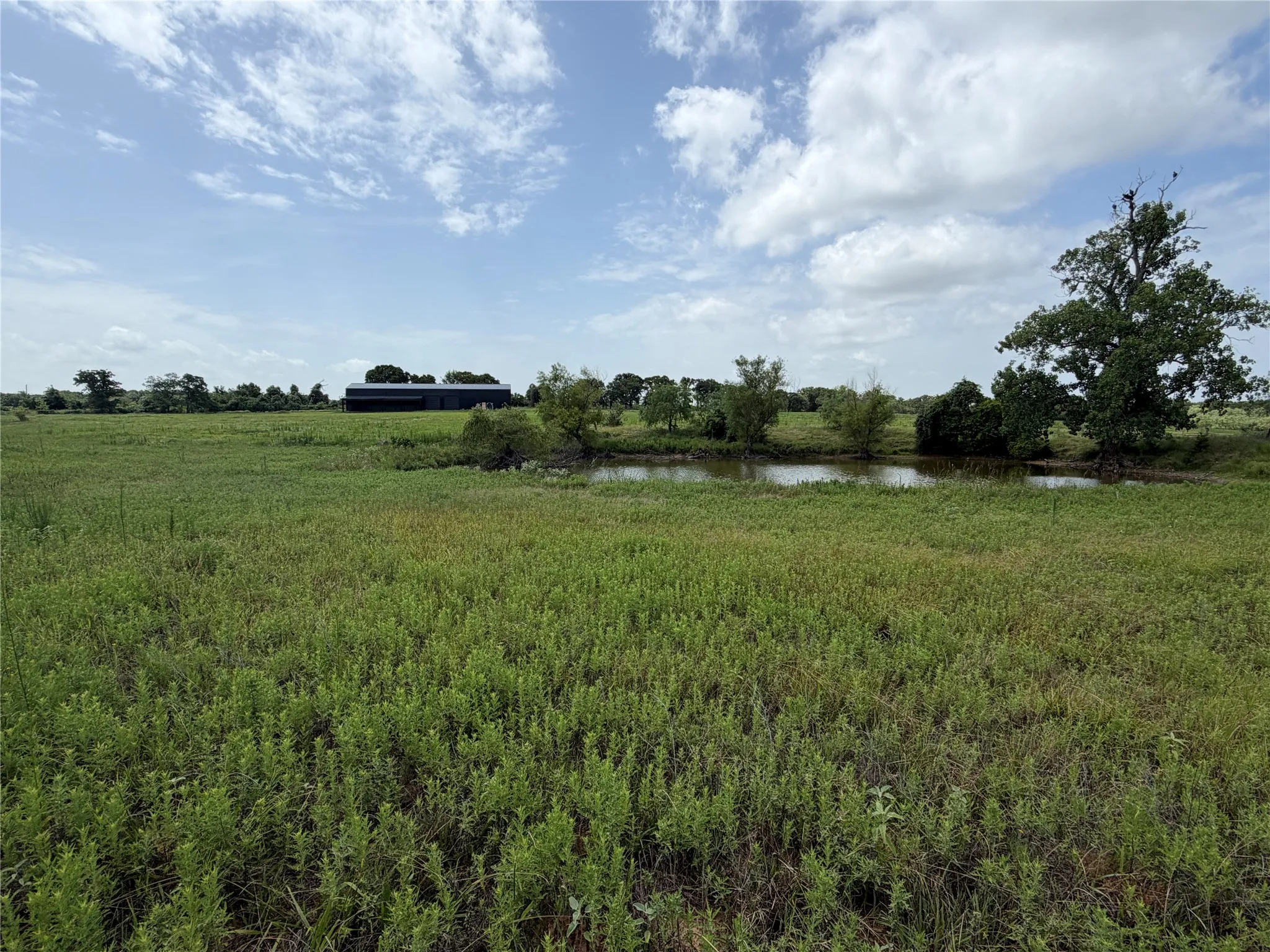 Improved Land For Sale in Hill County , 237 HCR 1306, Whitney, Texas 76692, 0, 0, Garage spaces, 0 Sqft, built in 0, mls#21335591, Real Estate Agent in Whitney, Homes For Sale in Hill county, Homes For Sale in Whitney, Realtor in Whitney Texas, Real Estate Brokerage Independent Realty Texas, Luminita Cordes Realtor