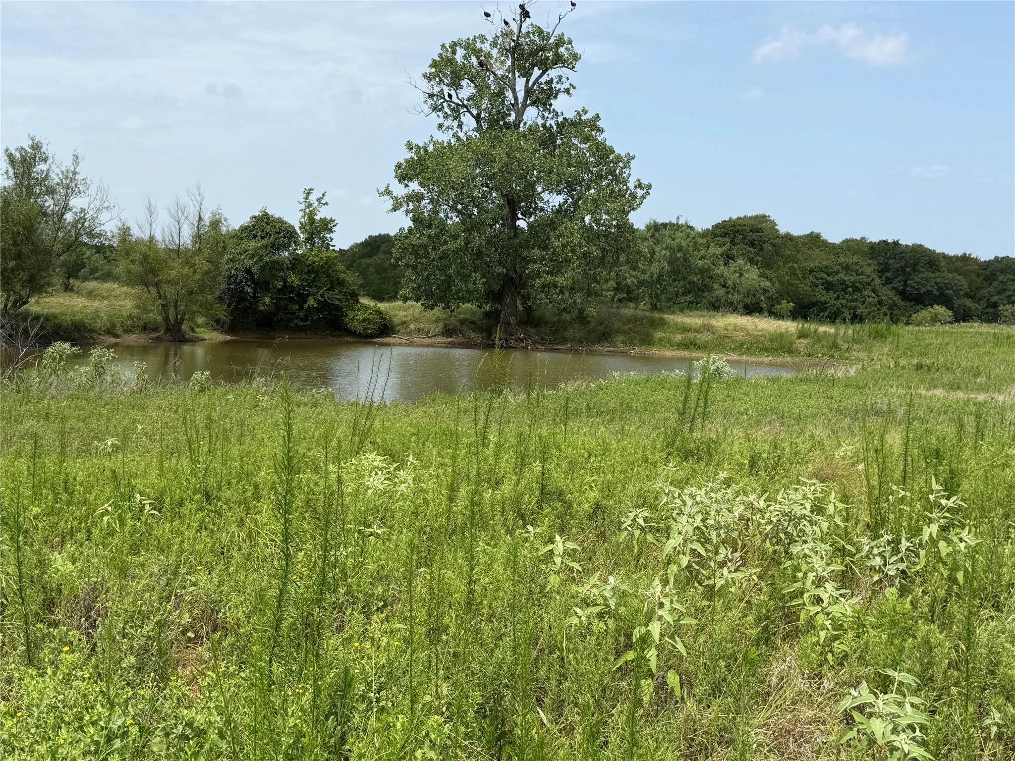 Improved Land For Sale in Hill County , 237 HCR 1306, Whitney, Texas 76692, 0, 0, Garage spaces, 0 Sqft, built in 0, mls#21335591, Real Estate Agent in Whitney, Homes For Sale in Hill county, Homes For Sale in Whitney, Realtor in Whitney Texas, Real Estate Brokerage Independent Realty Texas, Luminita Cordes Realtor