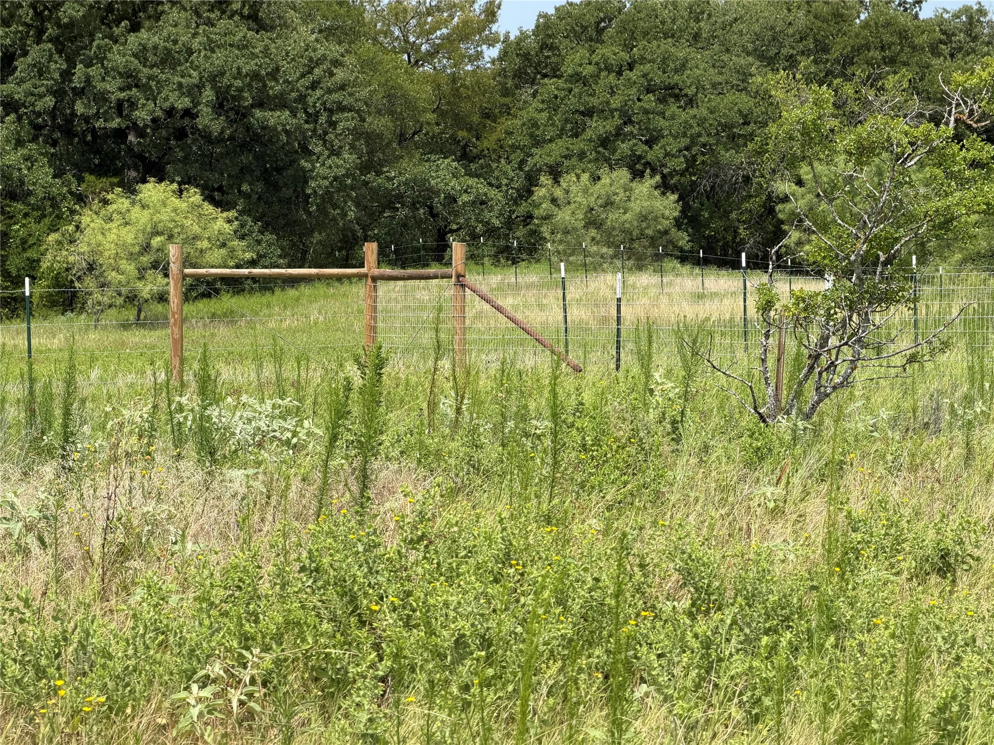 Improved Land For Sale in Hill County , 237 HCR 1306, Whitney, Texas 76692, 0, 0, Garage spaces, 0 Sqft, built in 0, mls#21335591, Real Estate Agent in Whitney, Homes For Sale in Hill county, Homes For Sale in Whitney, Realtor in Whitney Texas, Real Estate Brokerage Independent Realty Texas, Luminita Cordes Realtor