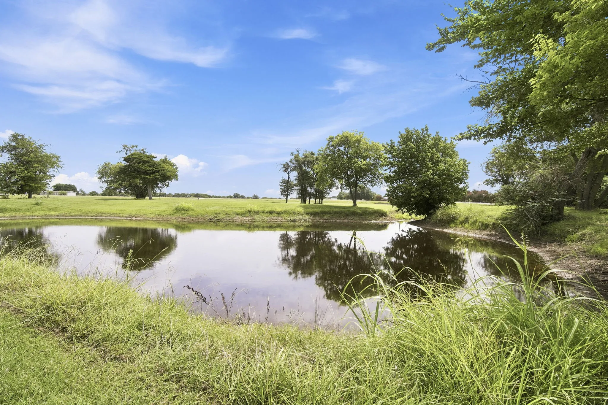 Pond feature surrounded by mature trees and grassy banks