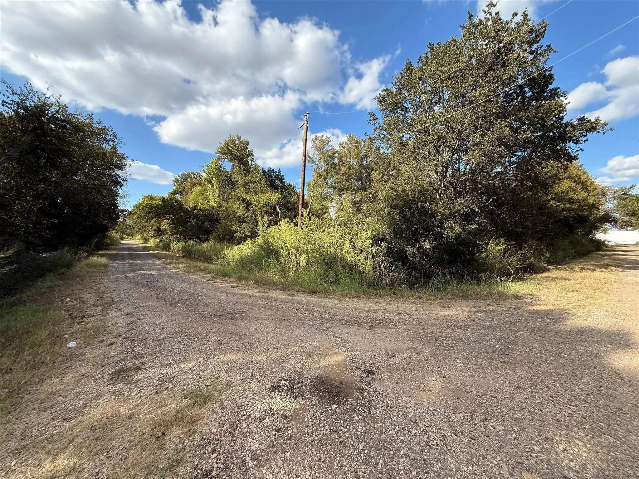 Gravel road with a natural setting featuring mature trees and abundant foliage