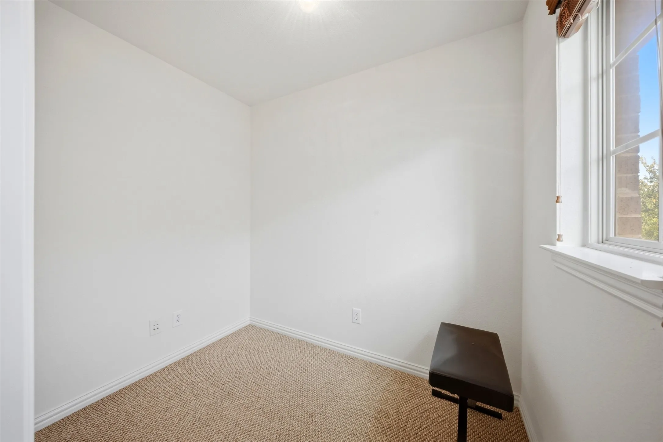 Light-filled room featuring a carpeted floor, white walls, and a window with white trim