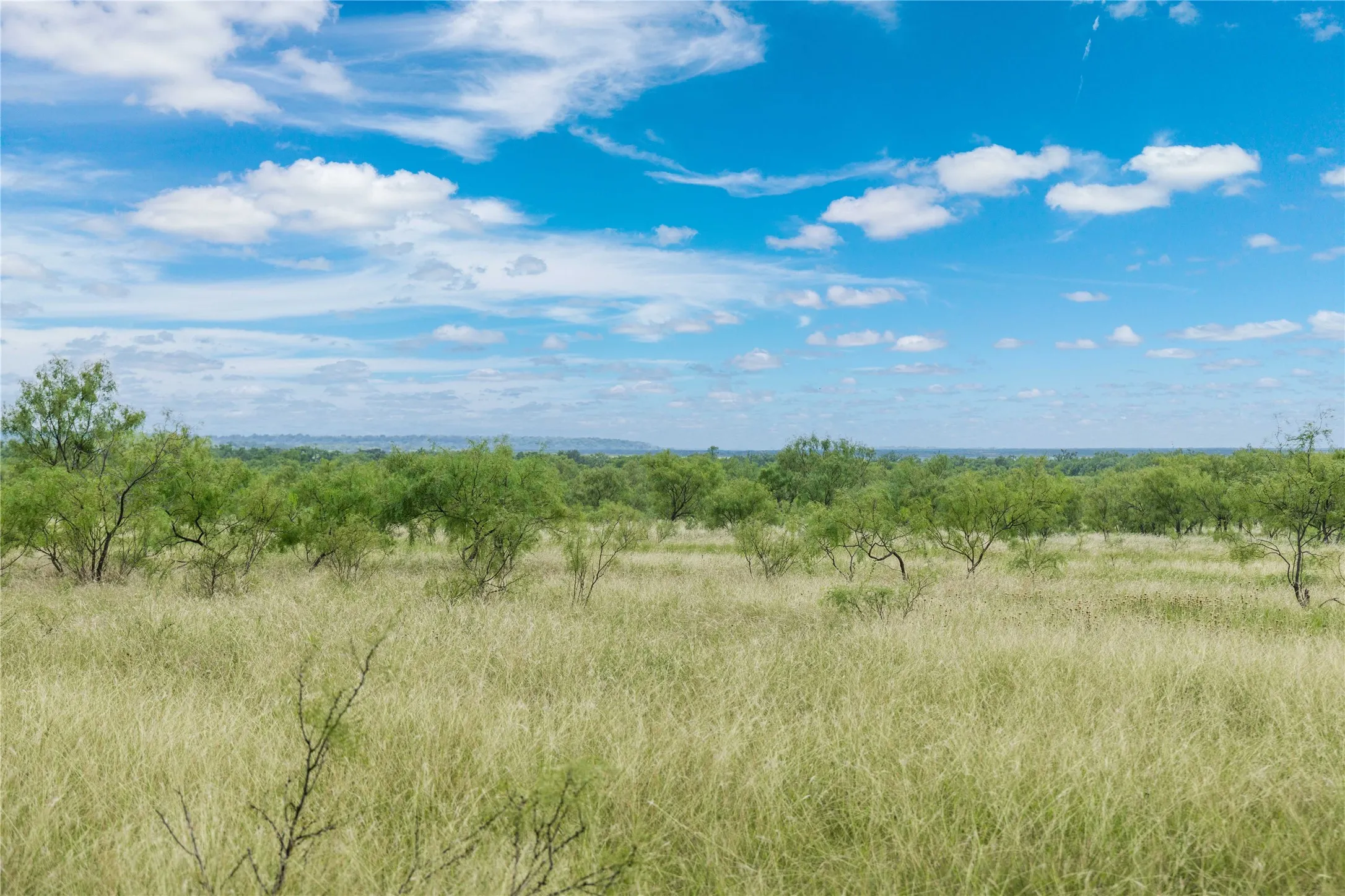 Expansive acreage featuring natural grasslands and mature trees under a clear sky