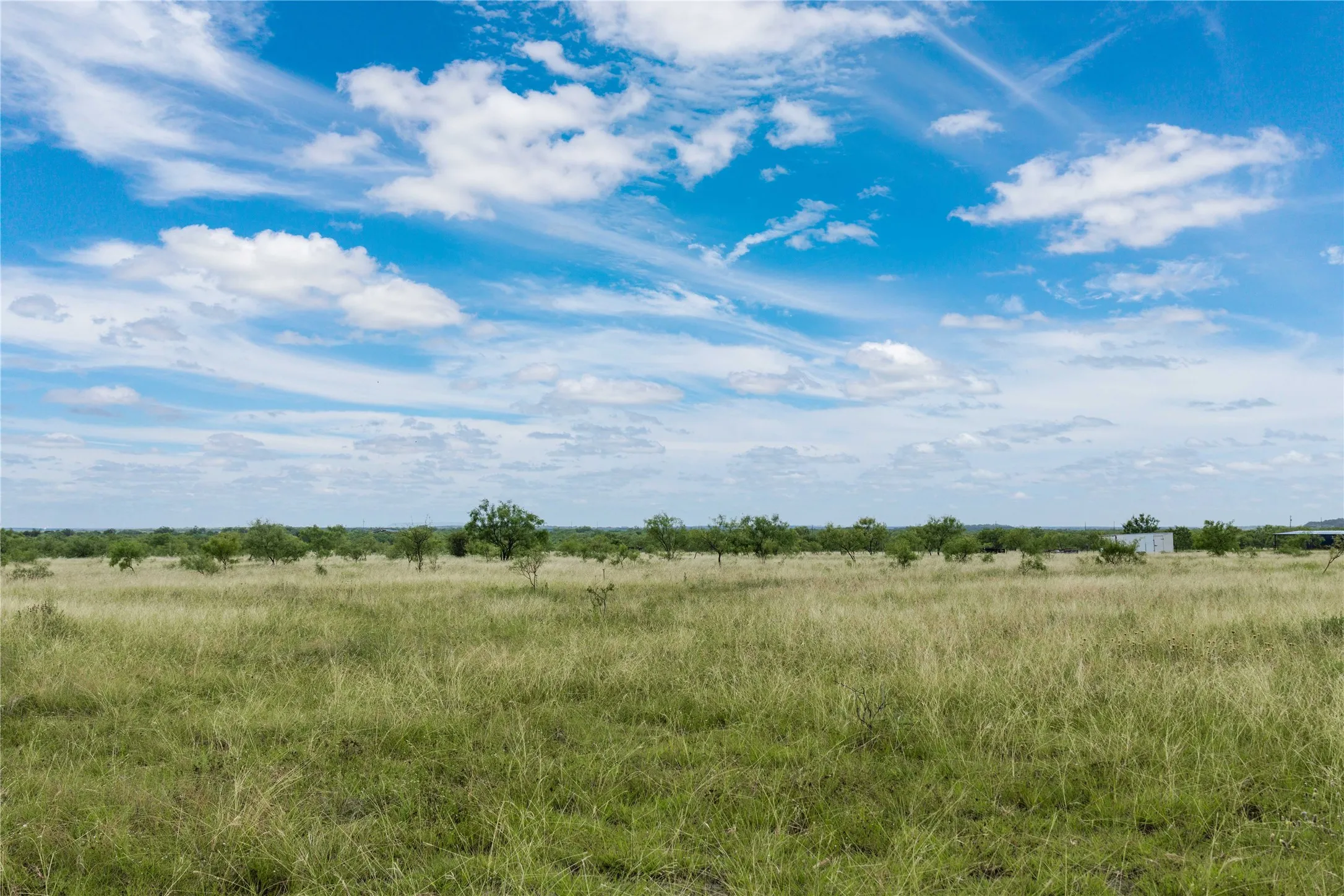 Expansive open acreage with natural grasslands and scattered mature trees