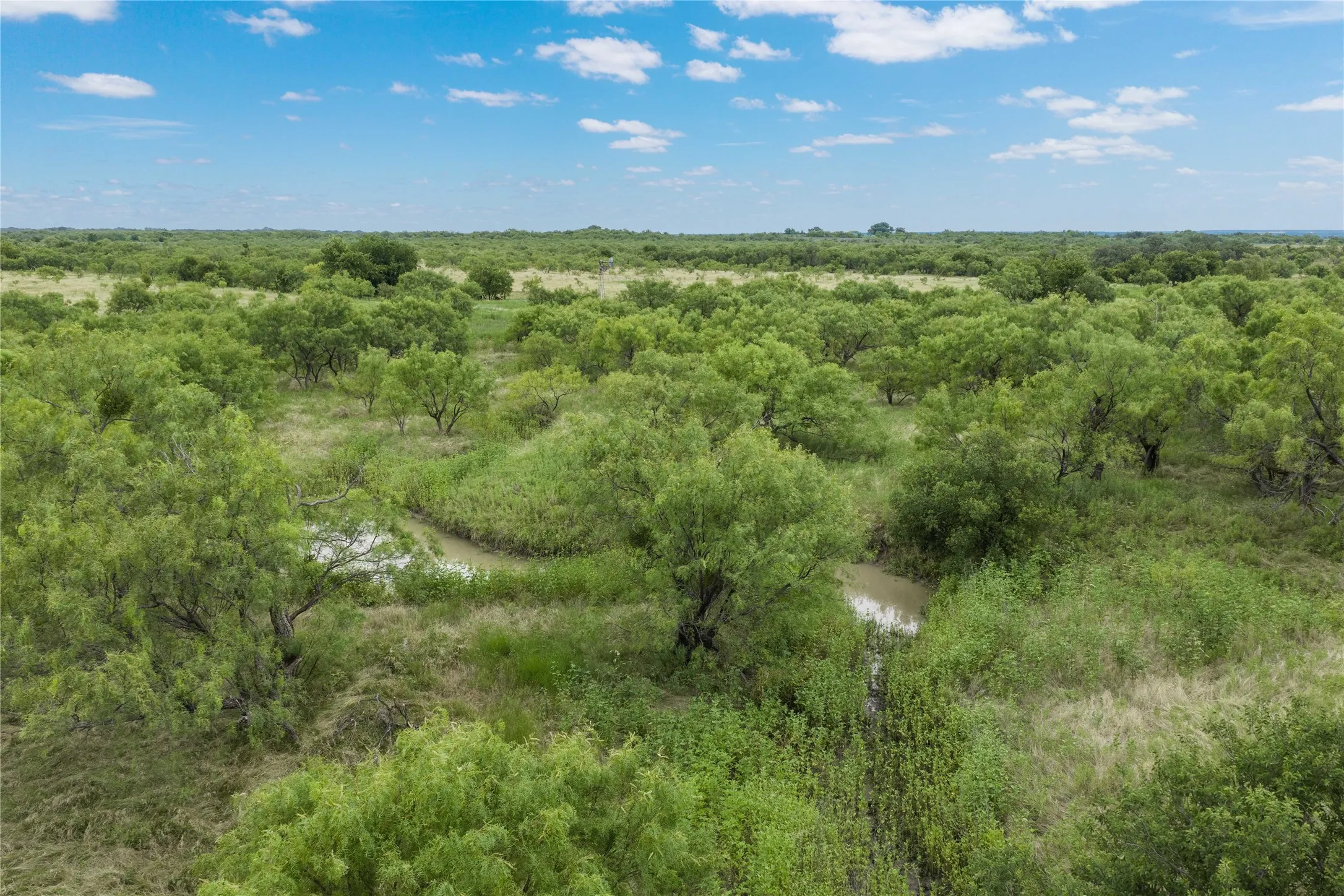 Expansive natural landscape featuring lush green foliage and scattered trees under a clear sky