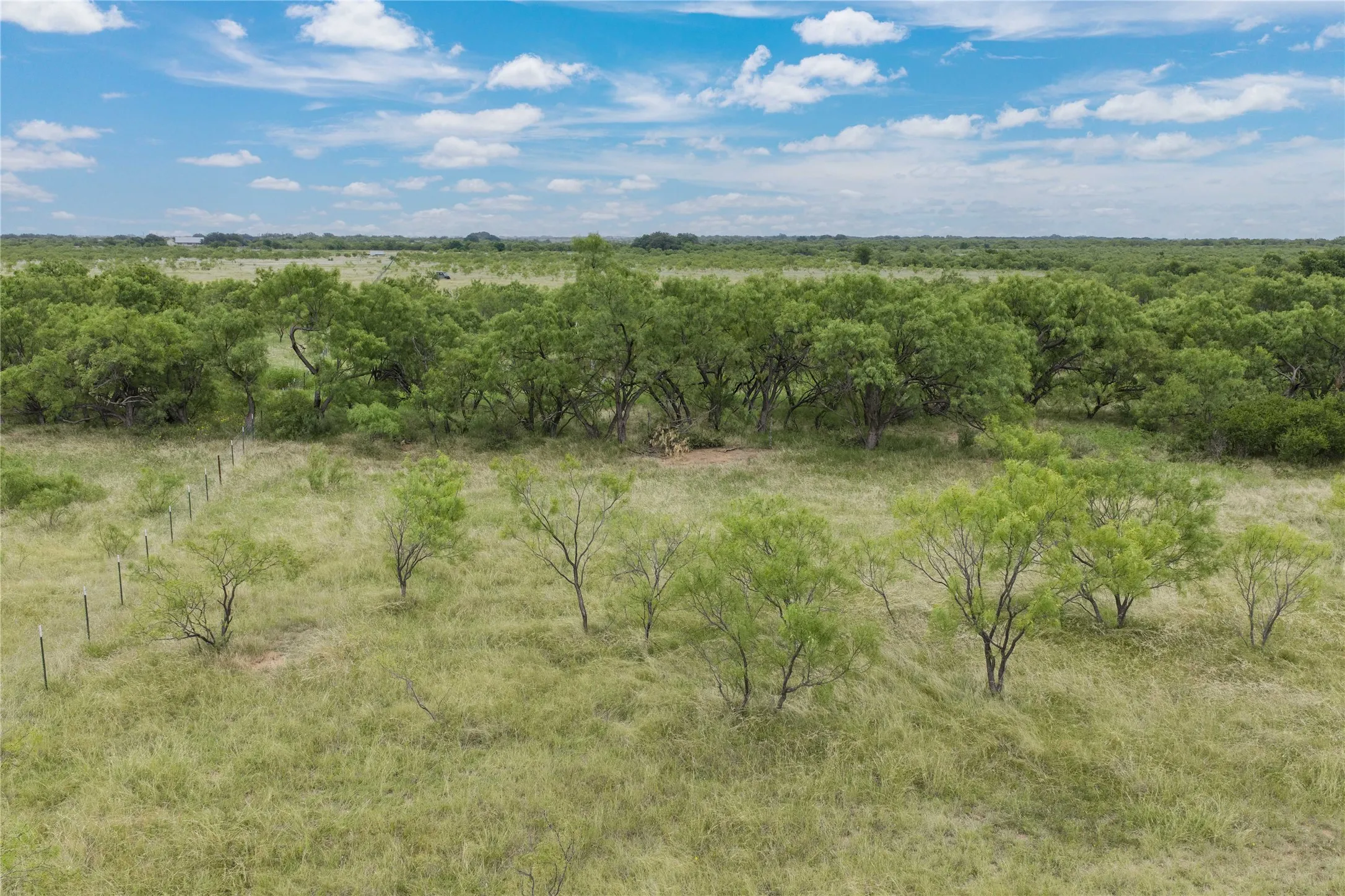 Expansive acreage featuring natural grasslands and mature tree coverage