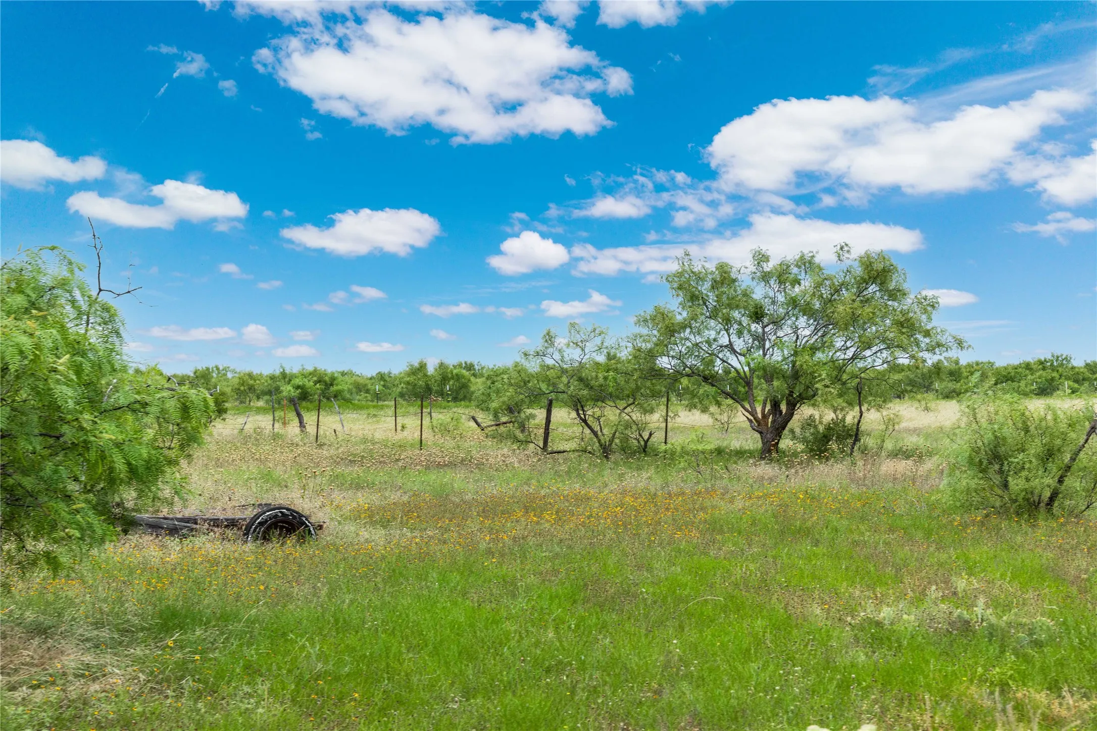 Expansive green acreage featuring mature trees and scattered wildflowers under a broad blue sky