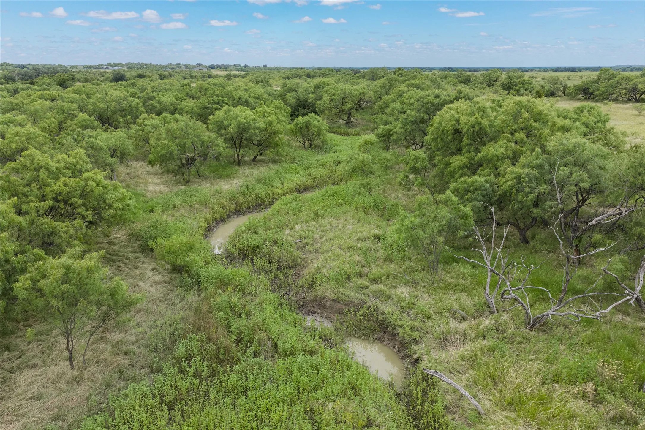Unimproved Land For Sale in Brown County , 6000 Fm 586 S, Bangs, Texas 76823, 0, 0, Garage spaces, 0 Sqft, built in 0, mls#21335651, Real Estate Agent in Bangs, Homes For Sale in Brown county, Homes For Sale in Bangs, Realtor in Bangs Texas, Real Estate Brokerage Independent Realty Texas, Luminita Cordes Realtor