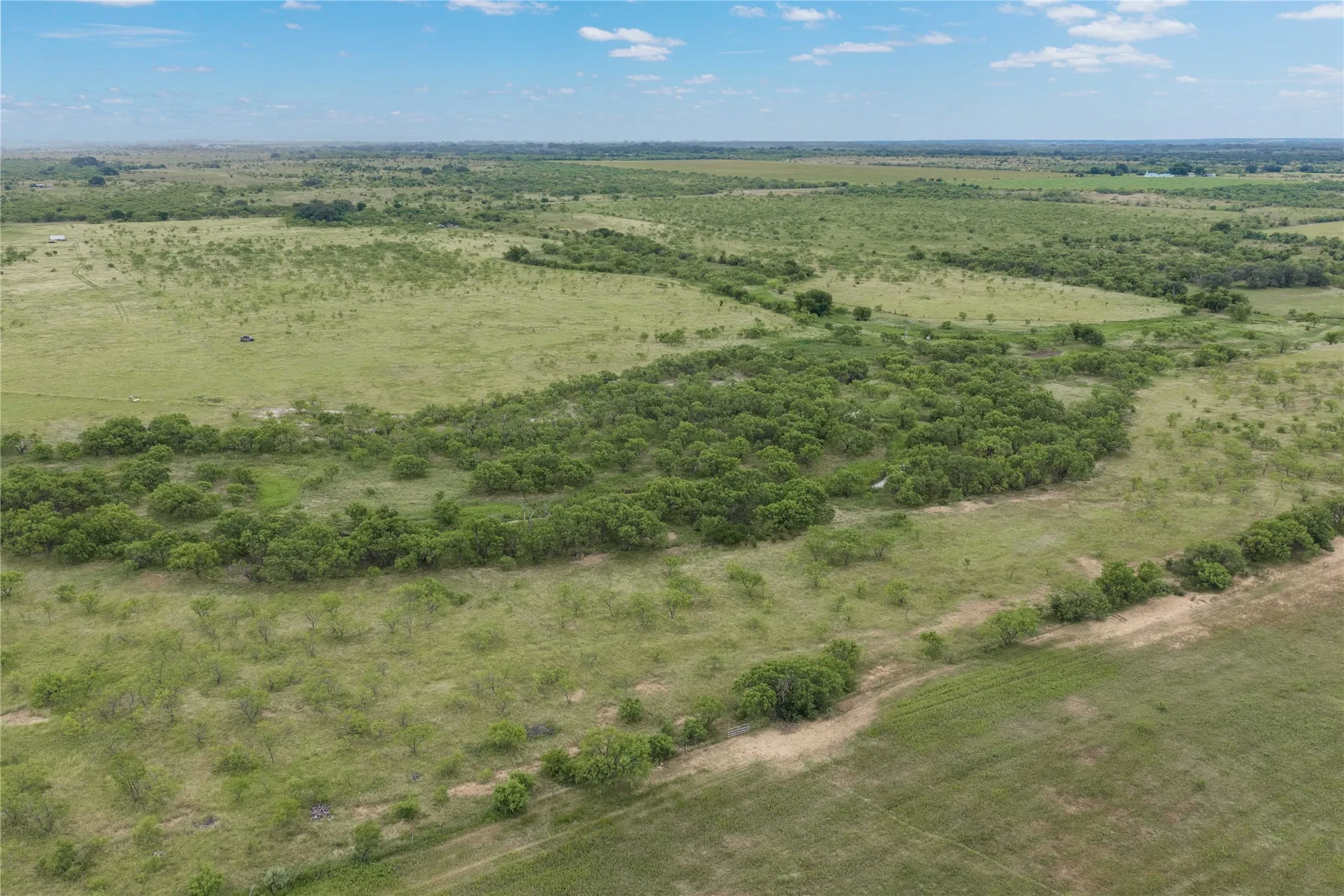 Expansive natural landscape featuring rolling terrain and abundant mature foliage