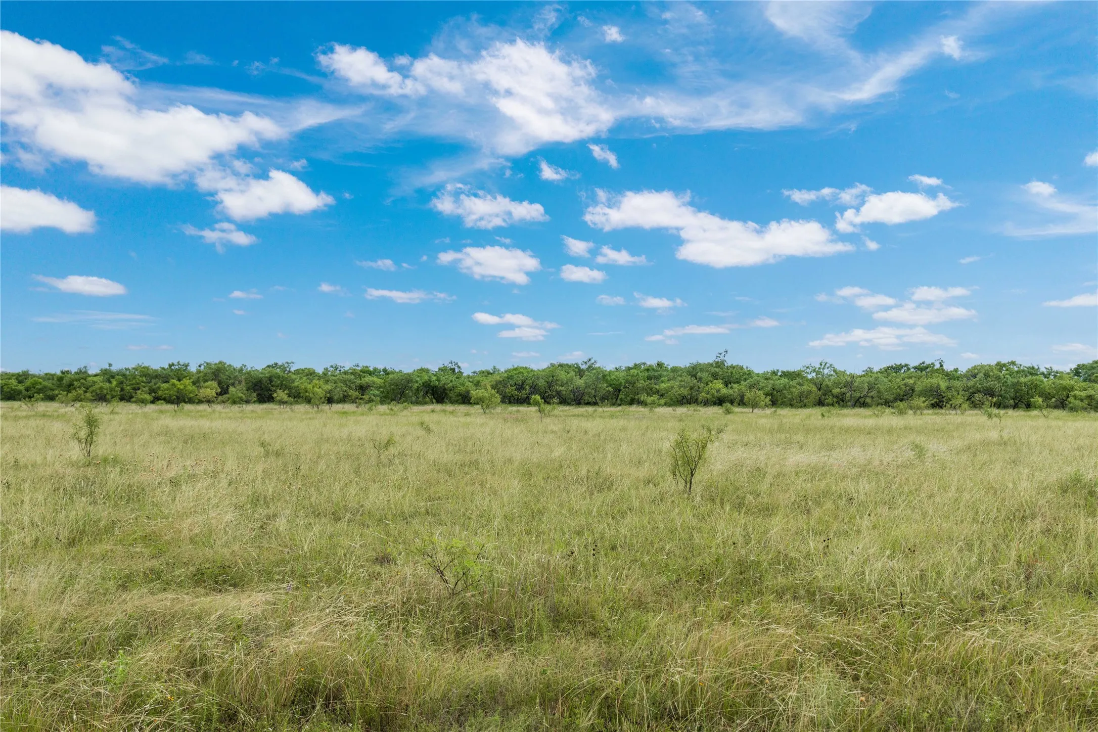 Expansive land parcel featuring natural grasses and scattered brush