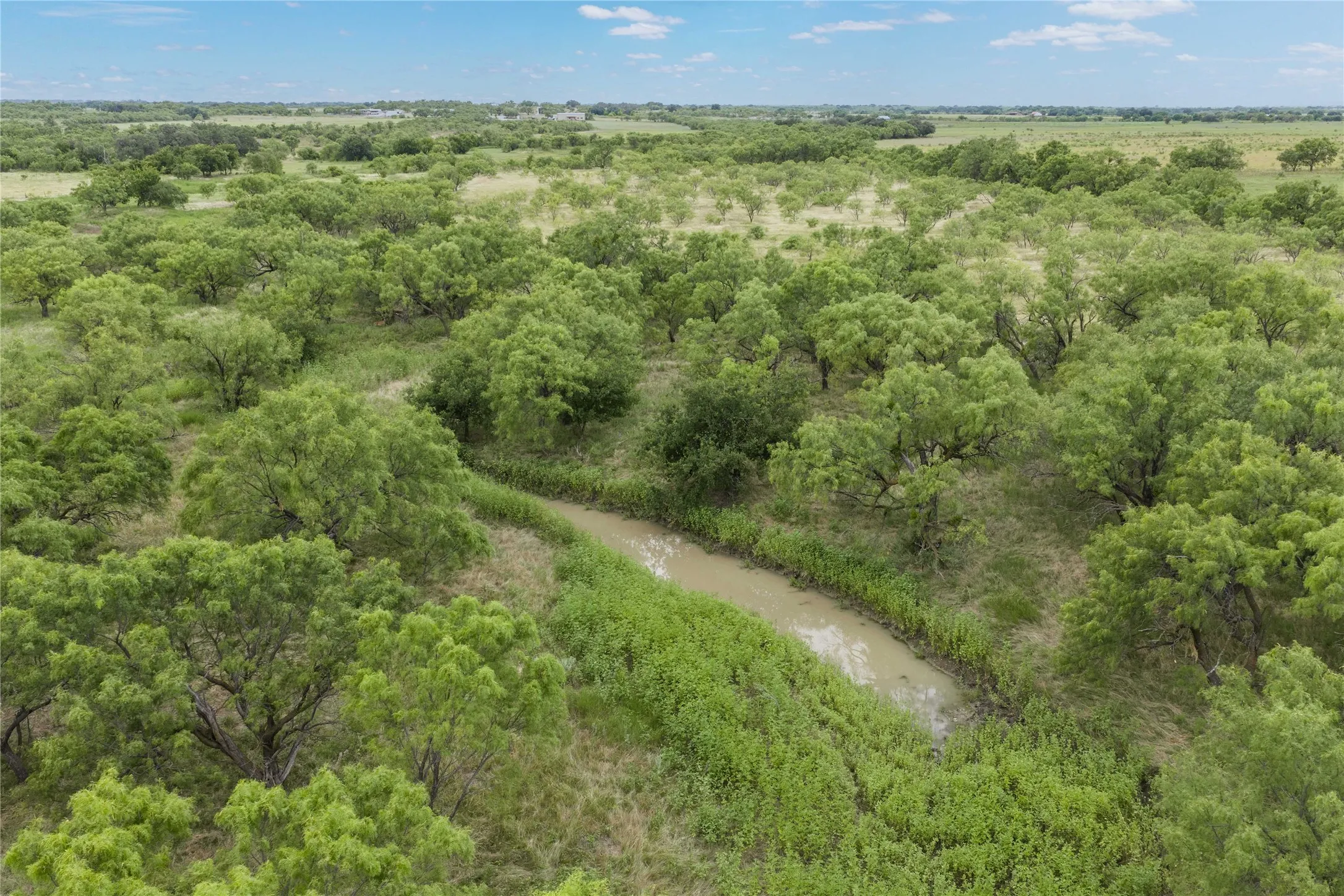 Expansive natural landscape with mature green trees and a winding stream