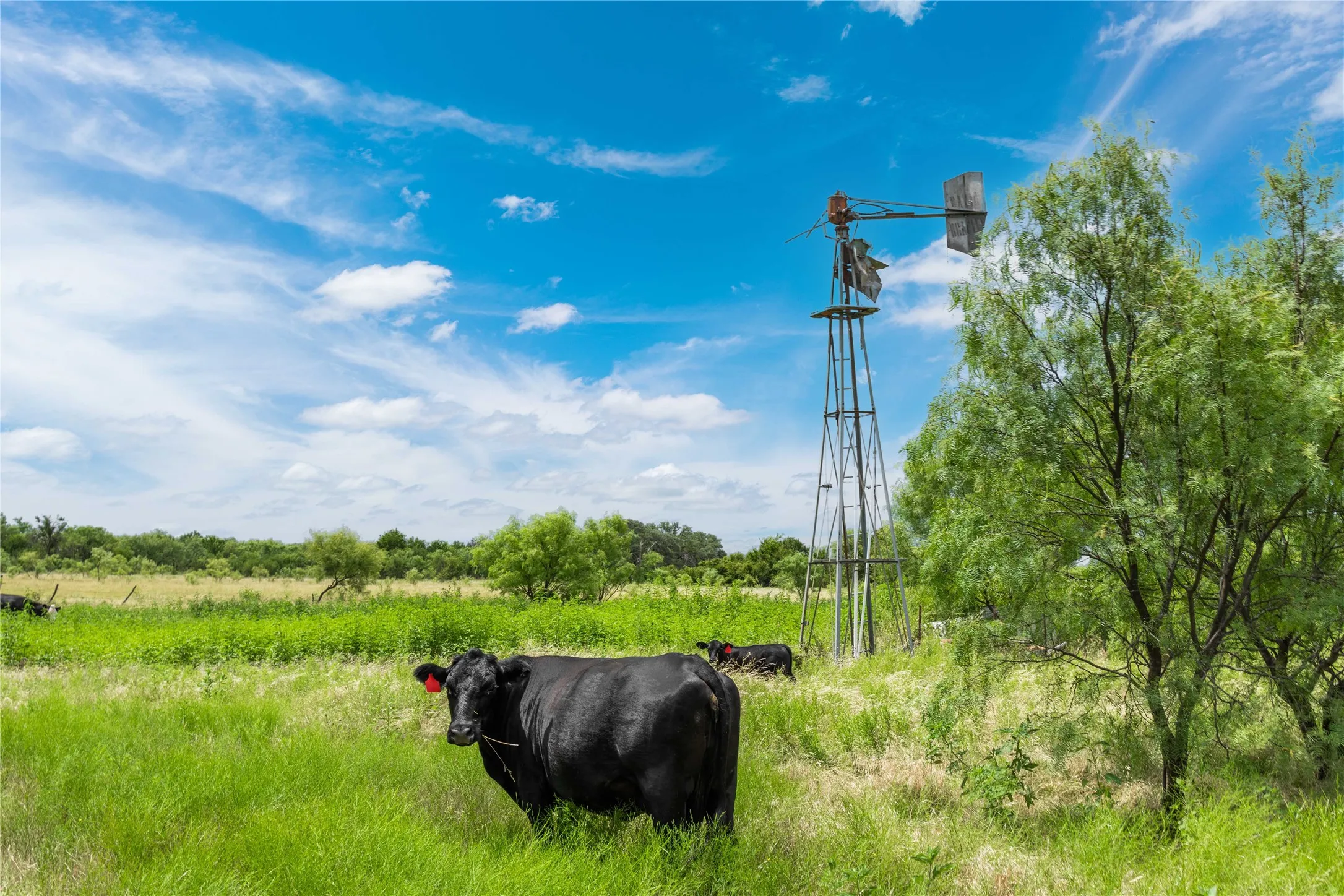 Unimproved Land For Sale in Brown County , 6000 Fm 586 S, Bangs, Texas 76823, 0, 0, Garage spaces, 0 Sqft, built in 0, mls#21335651, Real Estate Agent in Bangs, Homes For Sale in Brown county, Homes For Sale in Bangs, Realtor in Bangs Texas, Real Estate Brokerage Independent Realty Texas, Luminita Cordes Realtor