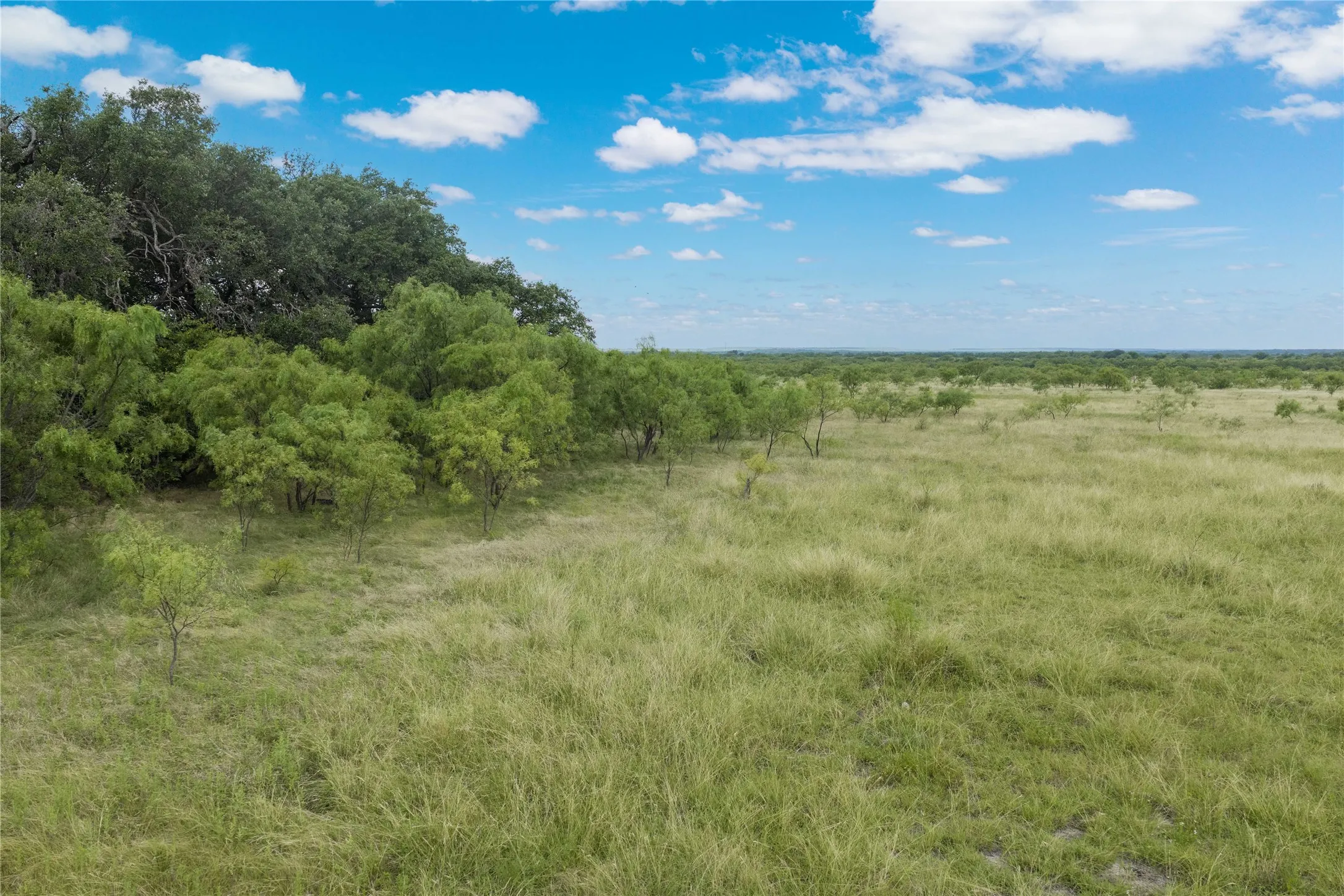 Expansive green landscape featuring varied foliage