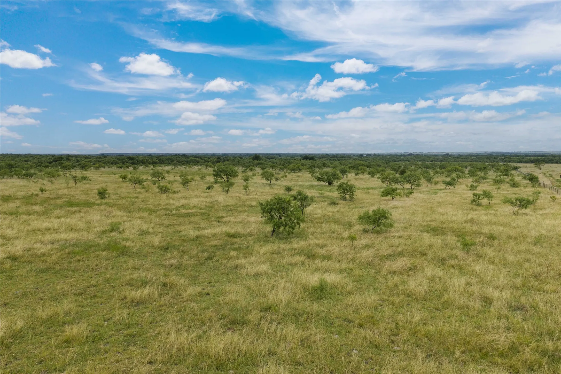Expansive open terrain featuring scattered mature trees and natural grassland