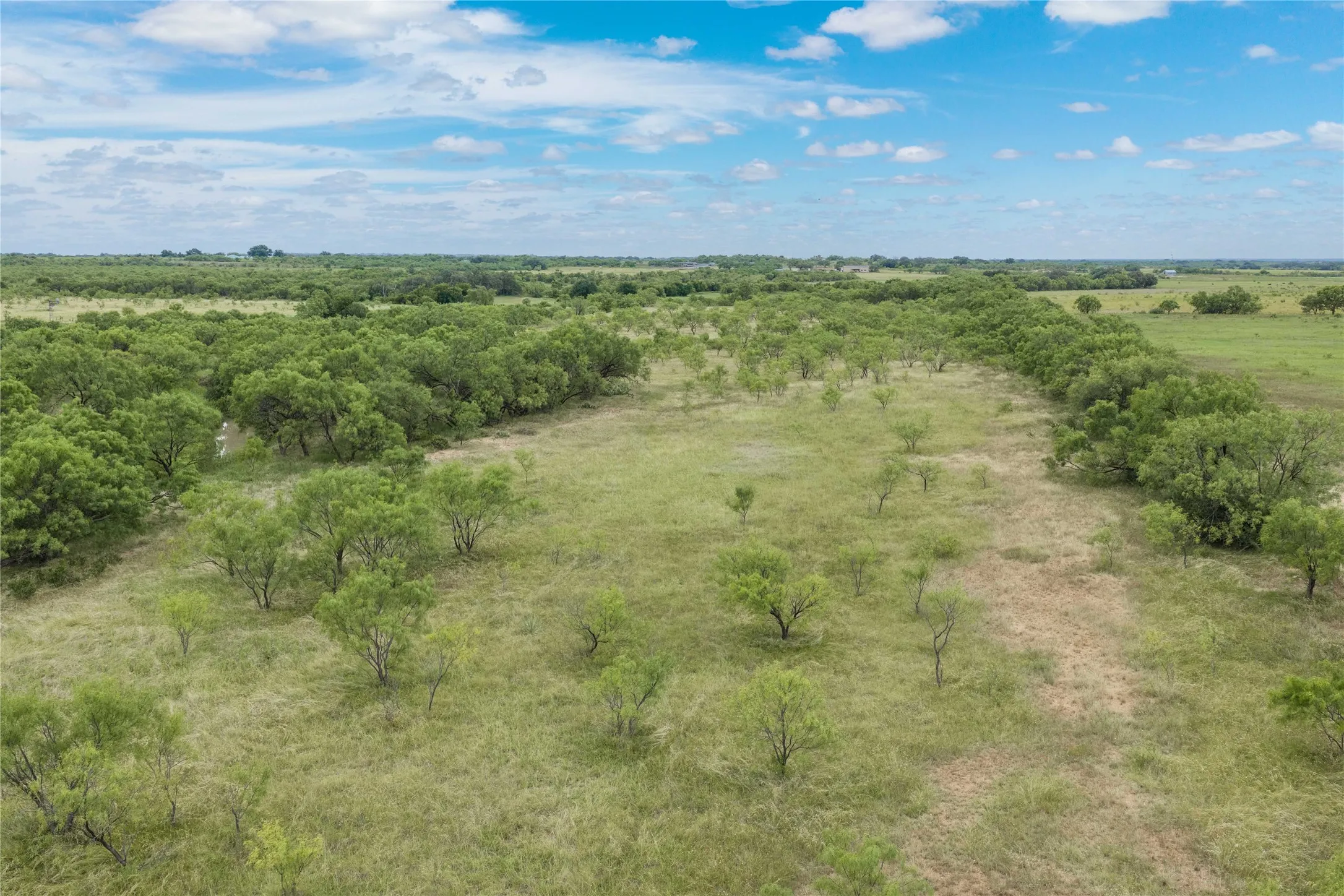 Expansive land featuring mature tree lines, open grassy areas, and natural vegetation