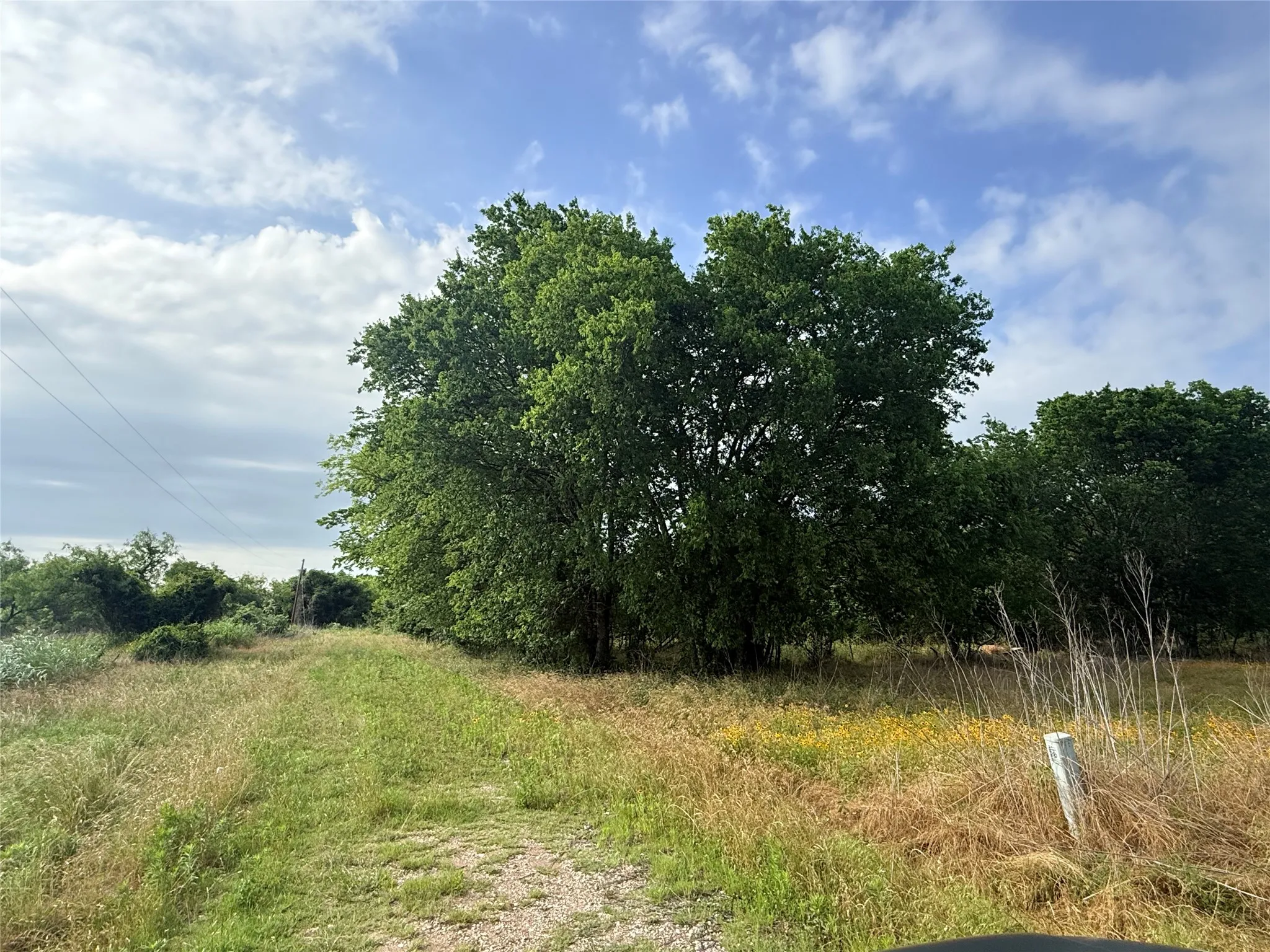 Unimproved Land For Sale in Falls County , TBD SM 2880 Street, Marlin, Texas 76661, 0, 0, Garage spaces, 0 Sqft, built in 0, Price $30,000, mls#21335646, Real Estate Agent in Marlin, Homes For Sale in Falls county, Homes For Sale in Marlin, Realtor in Marlin Texas, Real Estate Brokerage Independent Realty Texas, Luminita Cordes Realtor