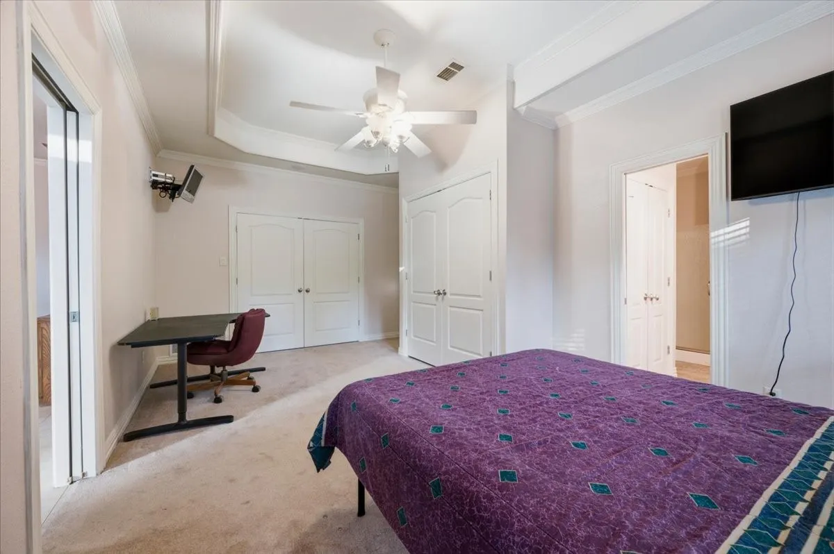 Carpeted room featuring a ceiling fan, tray ceiling, crown molding, and two sets of double-door closets