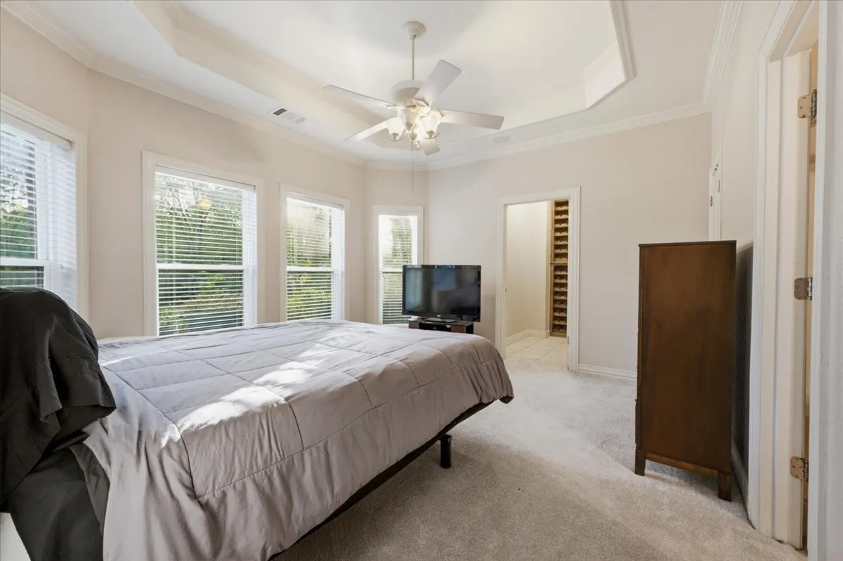 Spacious room featuring a tray ceiling with a ceiling fan, multiple windows with blinds, plush carpeting, and an open doorway leading to a built-in closet system