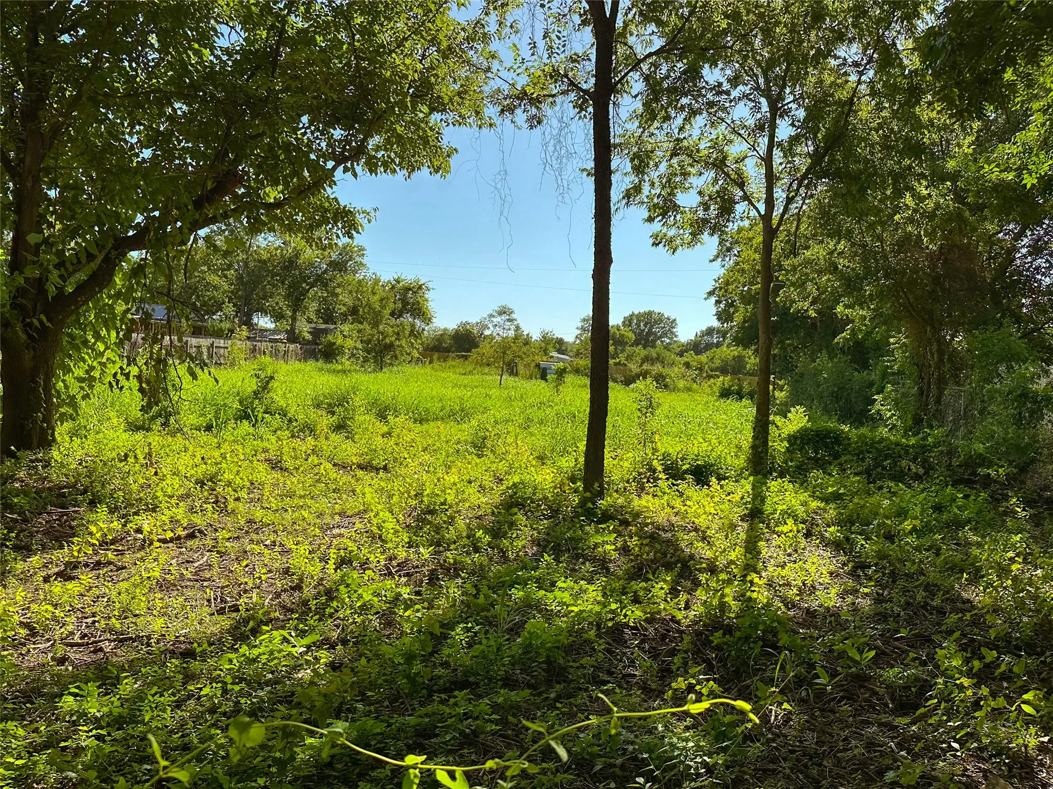 Single Family Residence For Rent in Somervell County , 403 N Gaither Street, Glen Rose, Texas 76043, 3 Bedroom, 2 Bathroom, Garage spaces, 1,472 Sqft, built in 0, mls#21335667, Real Estate Agent in Glen Rose, Homes For Rent in Somervell county, Homes For Rent in Glen Rose, Realtor in Glen Rose Texas, Real Estate Brokerage Independent Realty Texas, Luminita Cordes Realtor