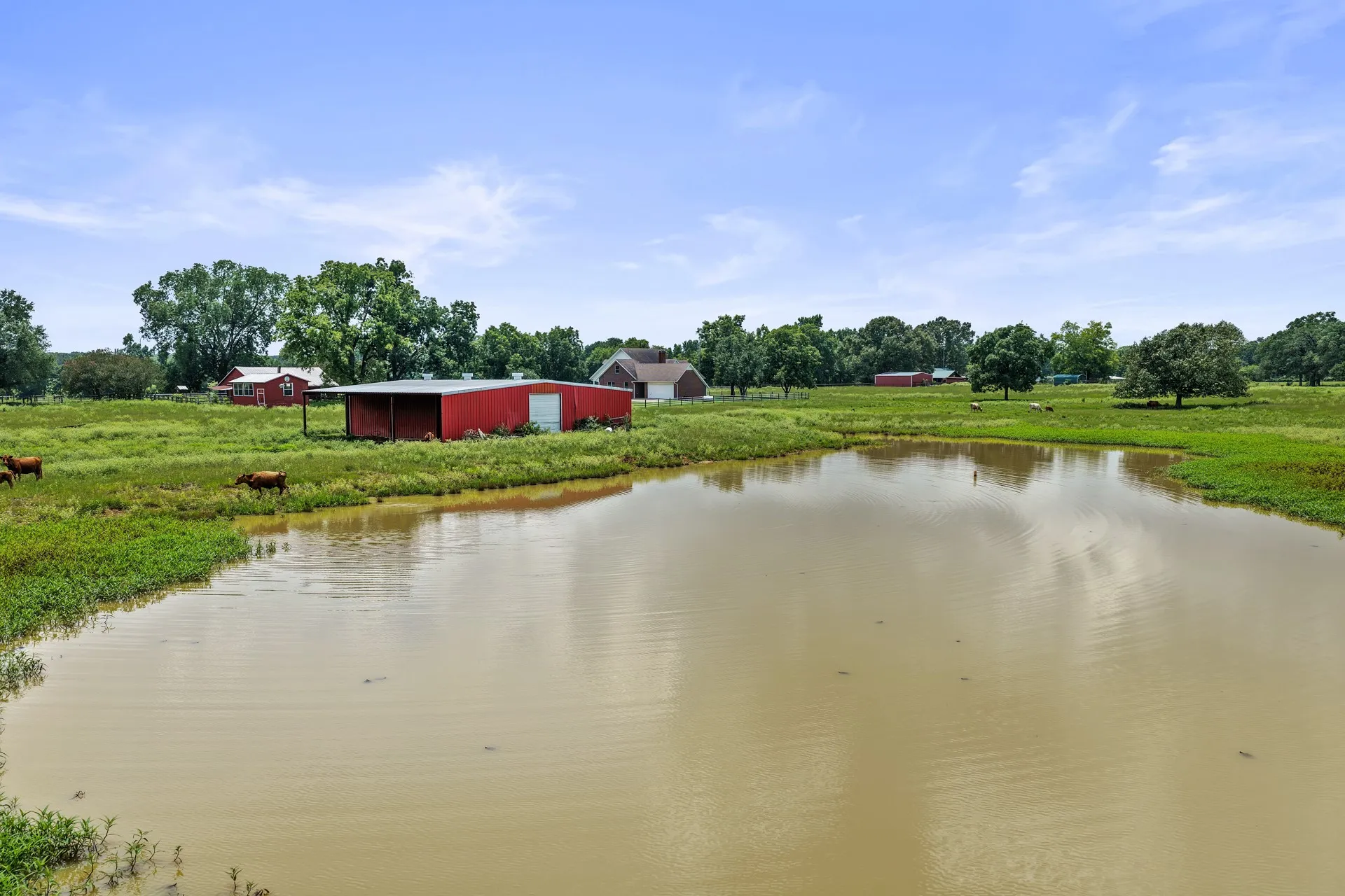 Farm For Sale in Titus County , 2199 County Rd 3150, Cookville, Texas 75558, 4 Bedrooms, 3 Bathrooms, 2 Garage spaces, 3,035 Sqft, built in 1992, Price $1,050,000, mls#21335647, Real Estate Agent in Cookville, Homes For Sale in Titus county, Homes For Sale in Cookville, Realtor in Cookville Texas, Real Estate Brokerage Independent Realty Texas, Luminita Cordes Realtor