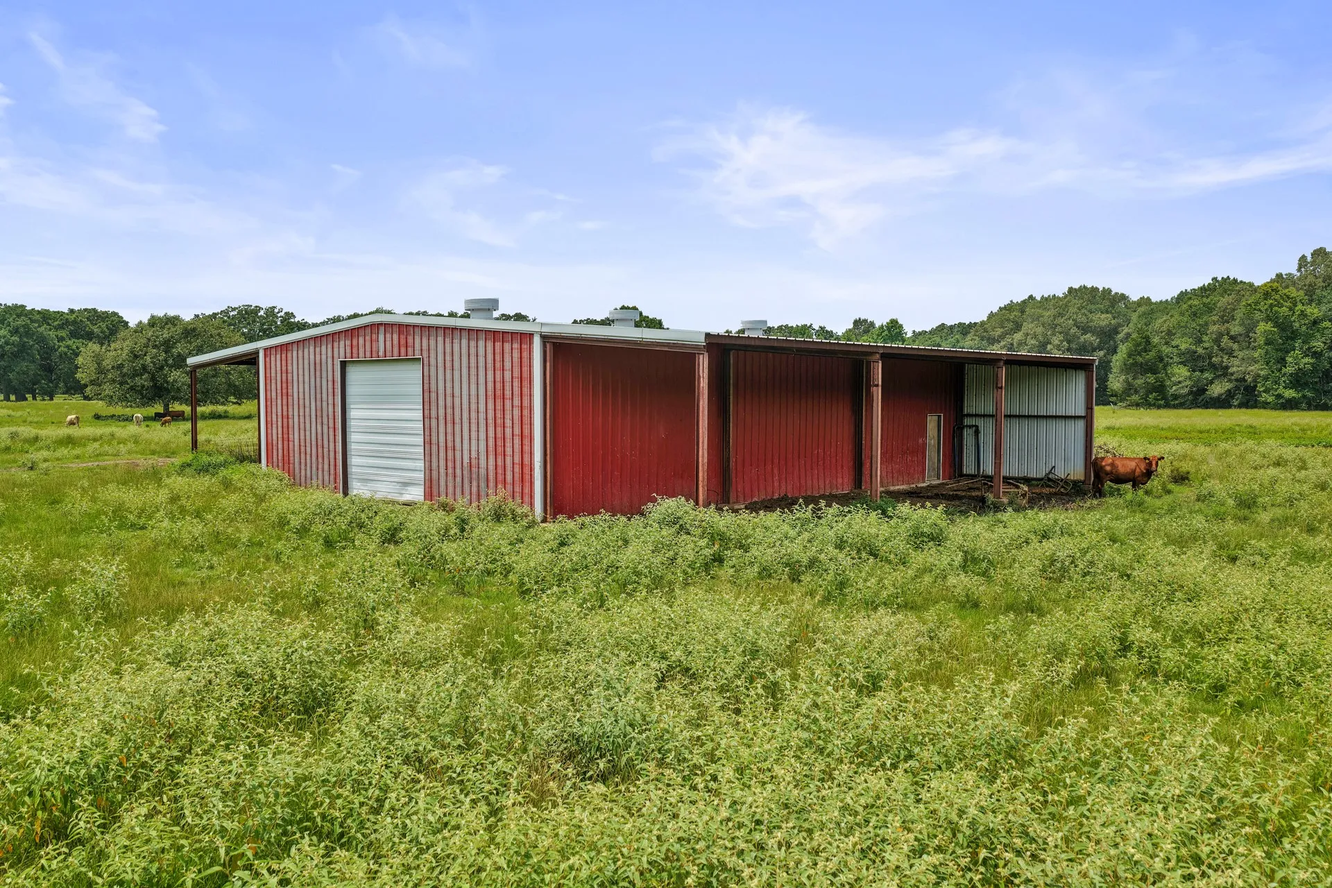 Farm For Sale in Titus County , 2199 County Rd 3150, Cookville, Texas 75558, 4 Bedrooms, 3 Bathrooms, 2 Garage spaces, 3,035 Sqft, built in 1992, Price $1,050,000, mls#21335647, Real Estate Agent in Cookville, Homes For Sale in Titus county, Homes For Sale in Cookville, Realtor in Cookville Texas, Real Estate Brokerage Independent Realty Texas, Luminita Cordes Realtor