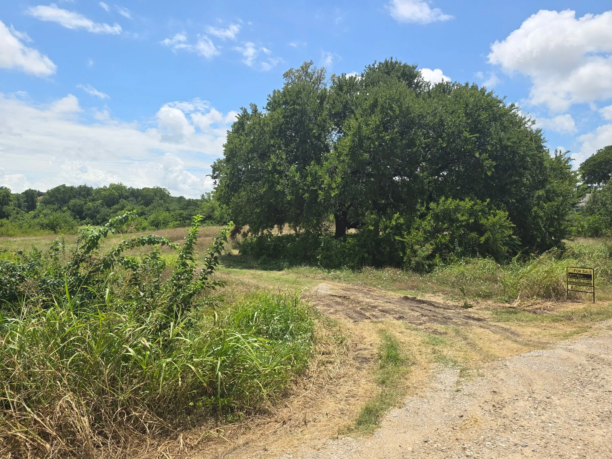 Unimproved Land For Sale in Collin County , 3.3 Ac County Road 995, Mc Kinney, Texas 75069, 0, 0, Garage spaces, 0 Sqft, built in 0, Price $599,900, mls#21335429, Real Estate Agent in Mc Kinney, Homes For Sale in Collin county, Homes For Sale in Mc Kinney, Realtor in Mc Kinney Texas, Real Estate Brokerage Independent Realty Texas, Luminita Cordes Realtor
