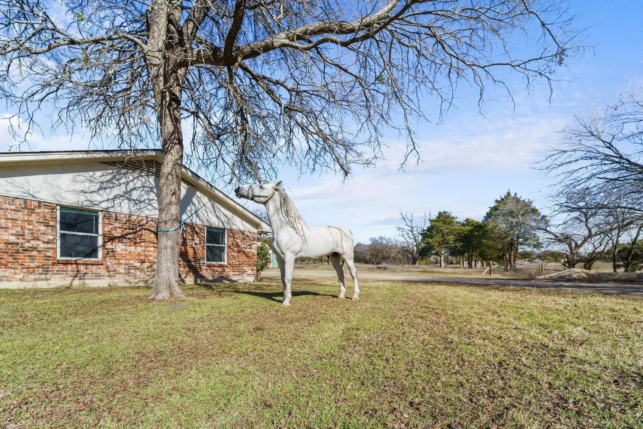 Single Family Residence For Sale in Dallas County , 1006 S Clark Road, Cedar Hill, Texas 75104, 3 Bedroom, 2 Bathroom, 2 Garage spaces, 1,500 Sqft, built in 1973, mls#21335738, Real Estate Agent in Cedar Hill, Homes For Sale in Dallas county, Homes For Sale in Cedar Hill, Realtor in Cedar Hill Texas, Real Estate Brokerage Independent Realty Texas, Luminita Cordes Realtor