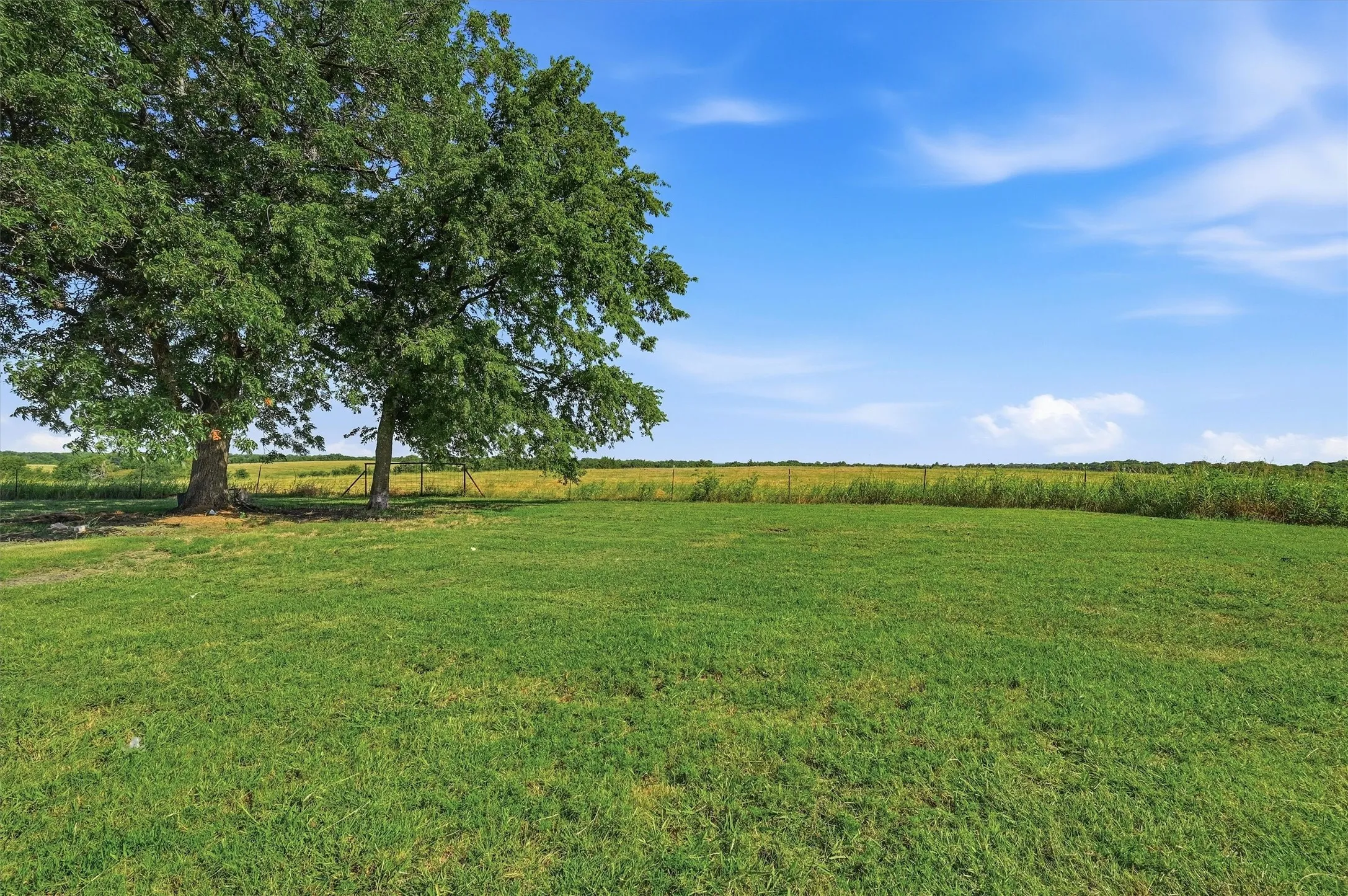 Unimproved Land For Sale in Fannin County , 976 County Road 4070, Ector, Texas 75439, 0, 0, Garage spaces, 0 Sqft, built in 1991, mls#21308189, Real Estate Agent in Ector, Homes For Sale in Fannin county, Homes For Sale in Ector, Realtor in Ector Texas, Real Estate Brokerage Independent Realty Texas, Luminita Cordes Realtor
