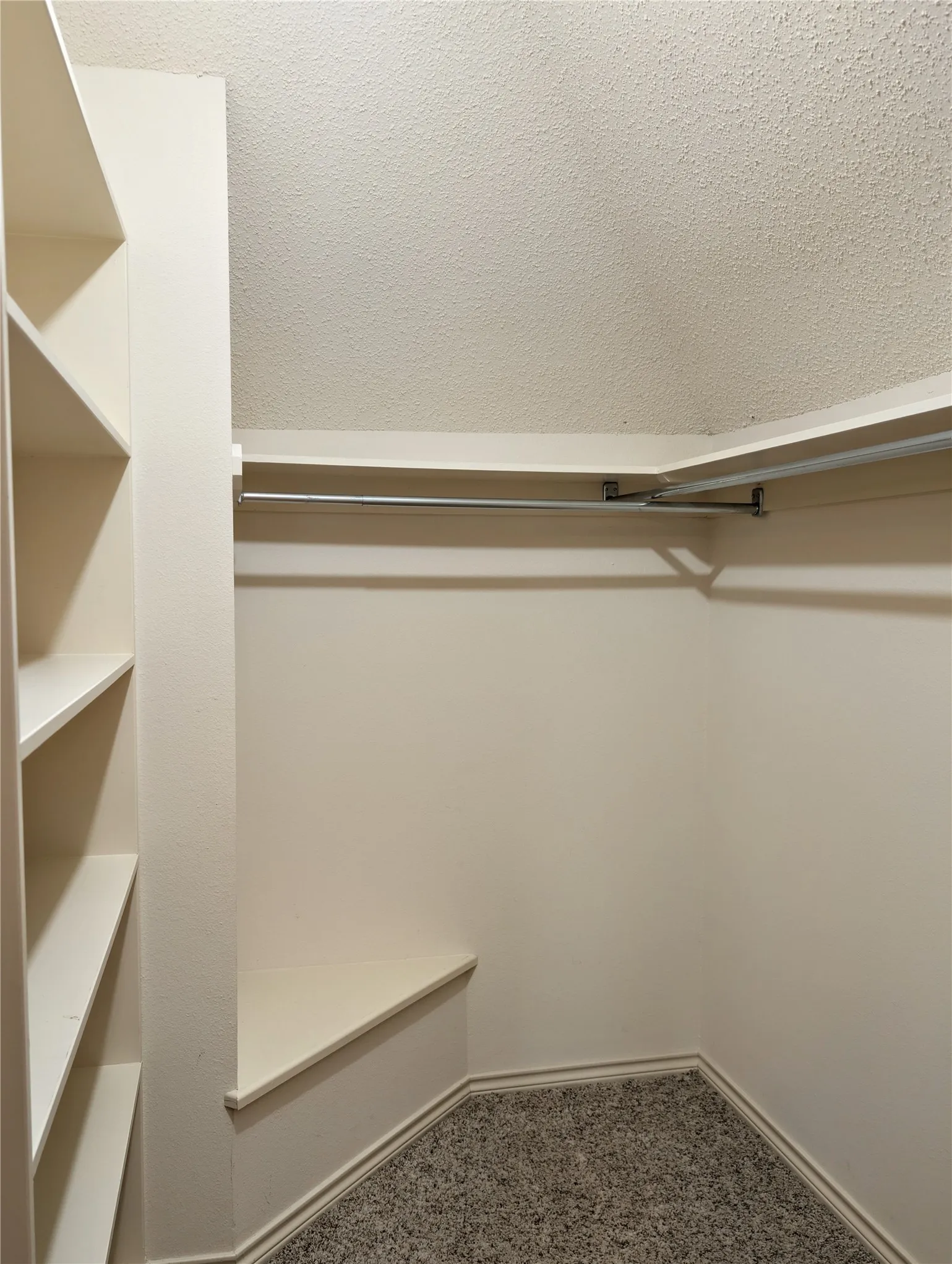 Walk-in closet featuring built-in shelving, a garment rod, and neutral-toned carpeting