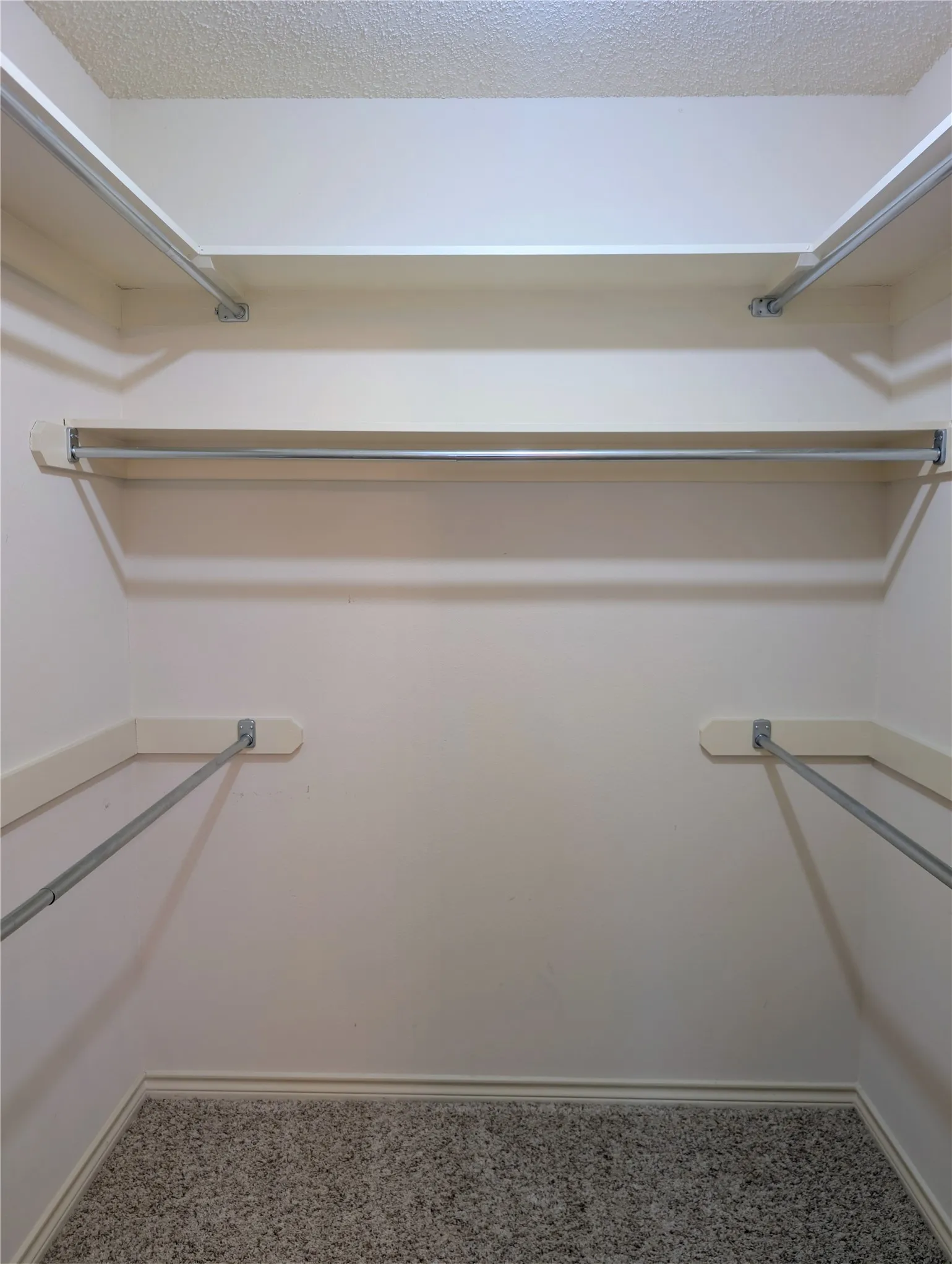 Walk-in closet featuring built-in shelving, chrome hanging rods, and neutral-toned carpeting