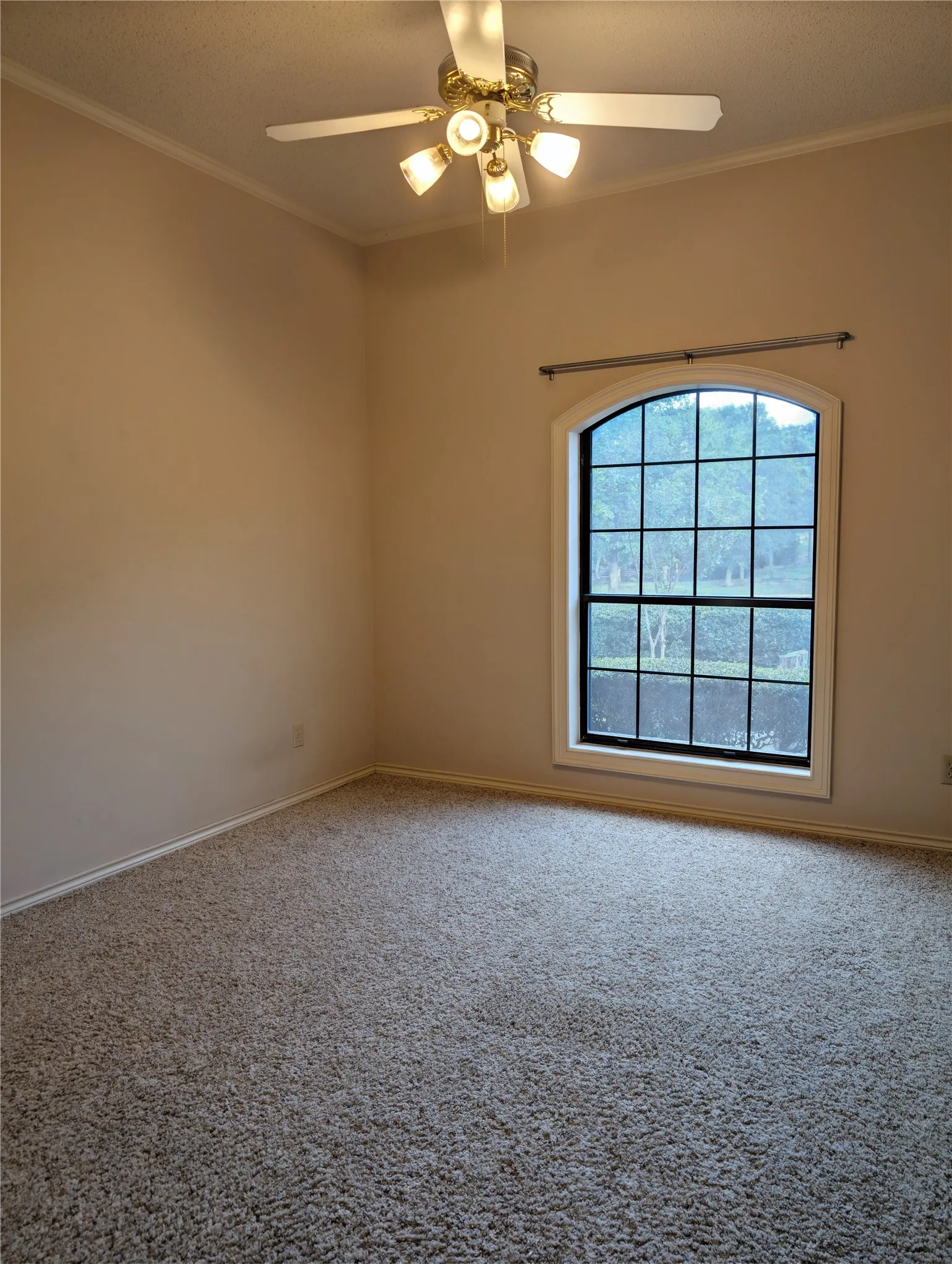 Arched window with gridded panes, ceiling fan with integrated lighting, textured carpet flooring, and crown molding